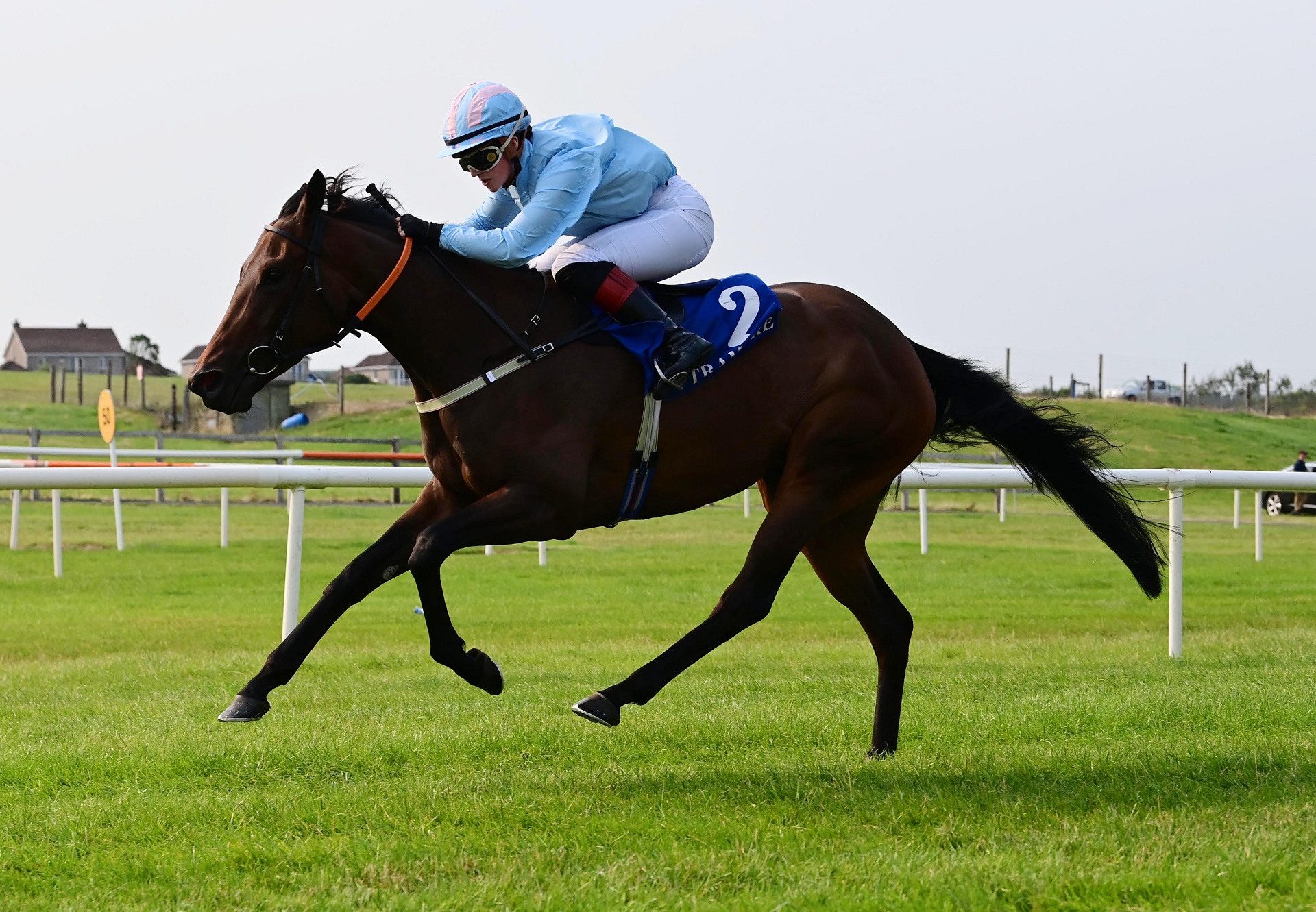 Ledecky (wootton bassett) Tramore 29