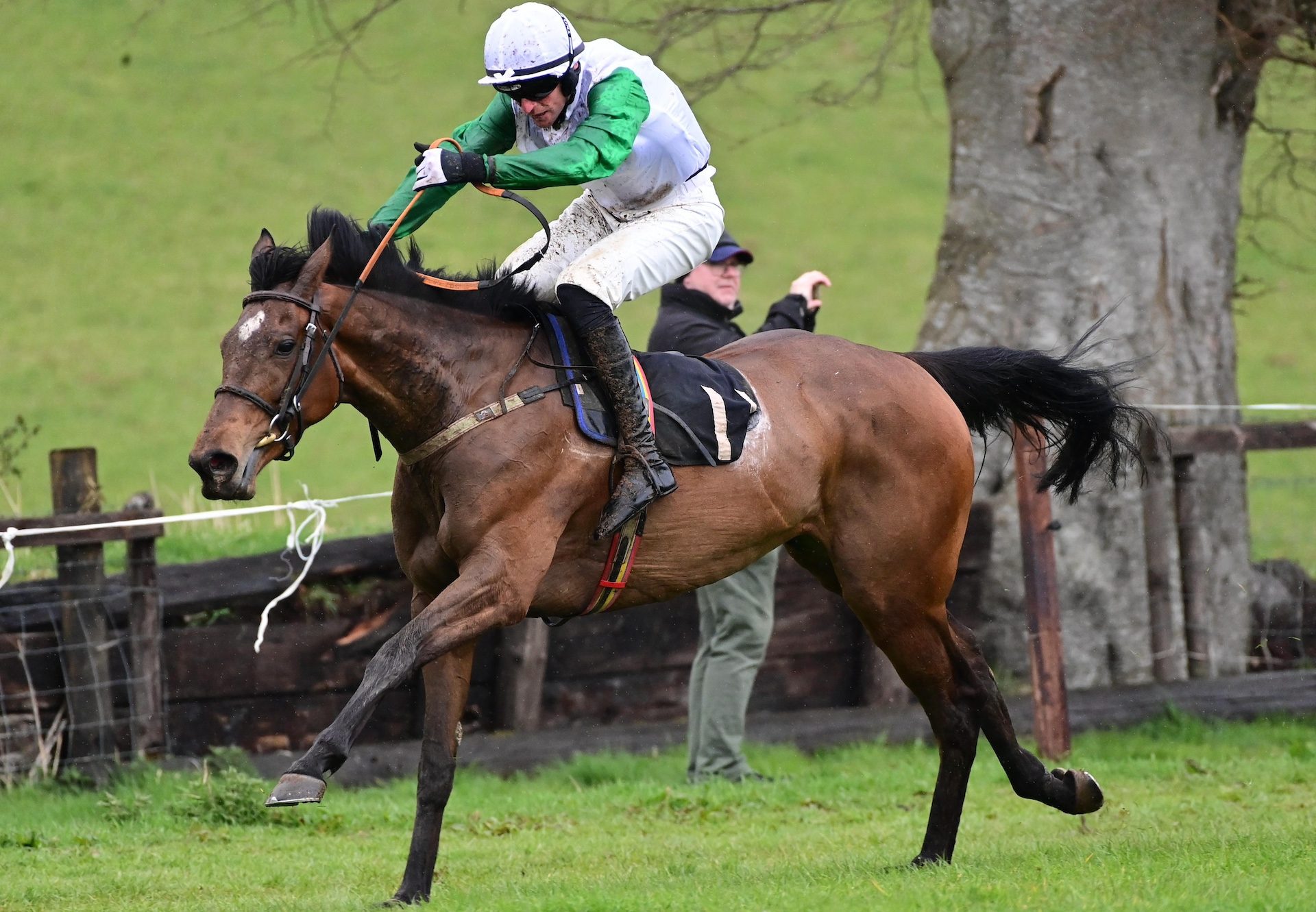 Lennon Grove (Walk In The Park) Wins The Four Year Old Mares’ Maiden At Loughanmore