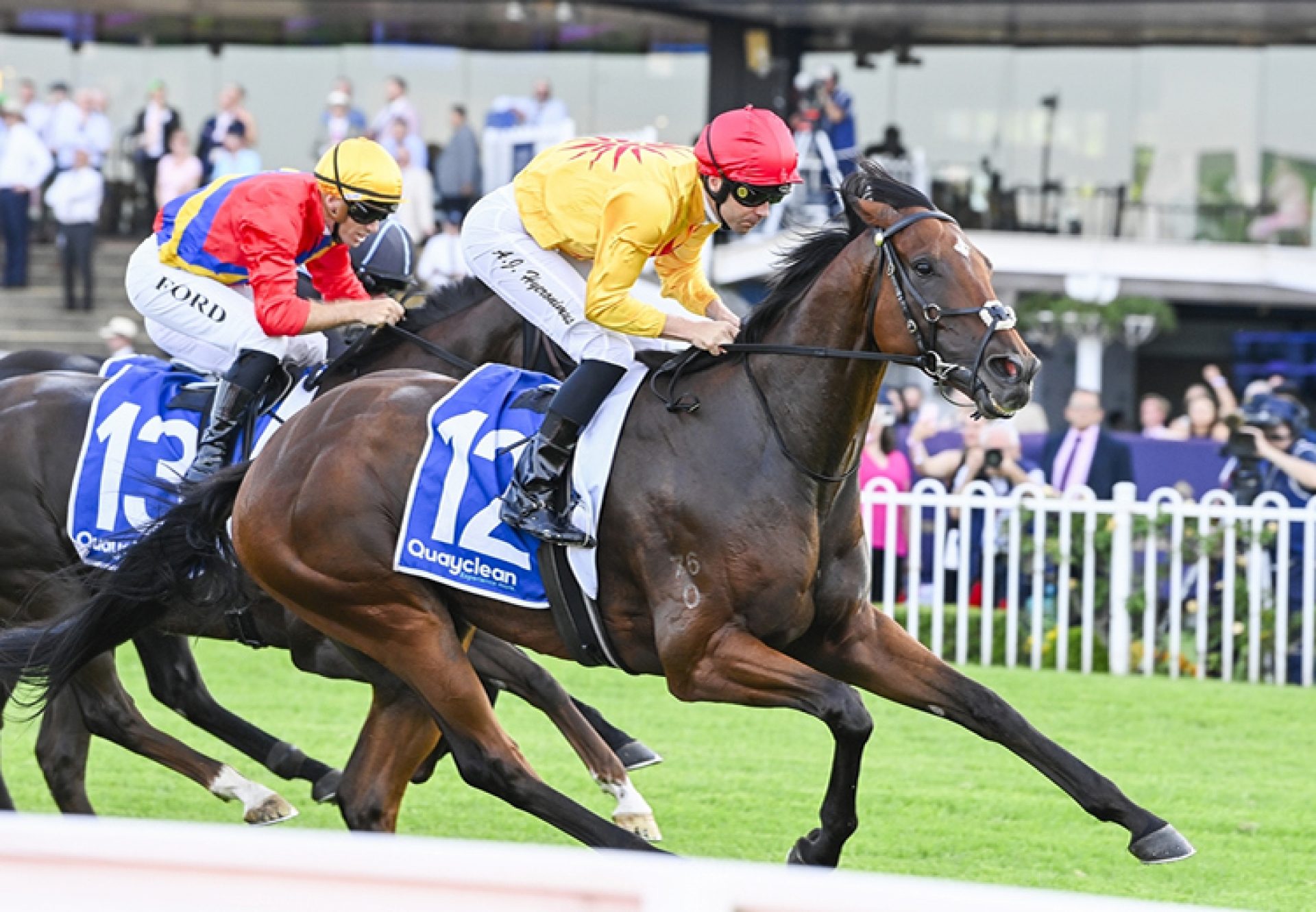 Les Vampires (Pierro) Rosehill 750