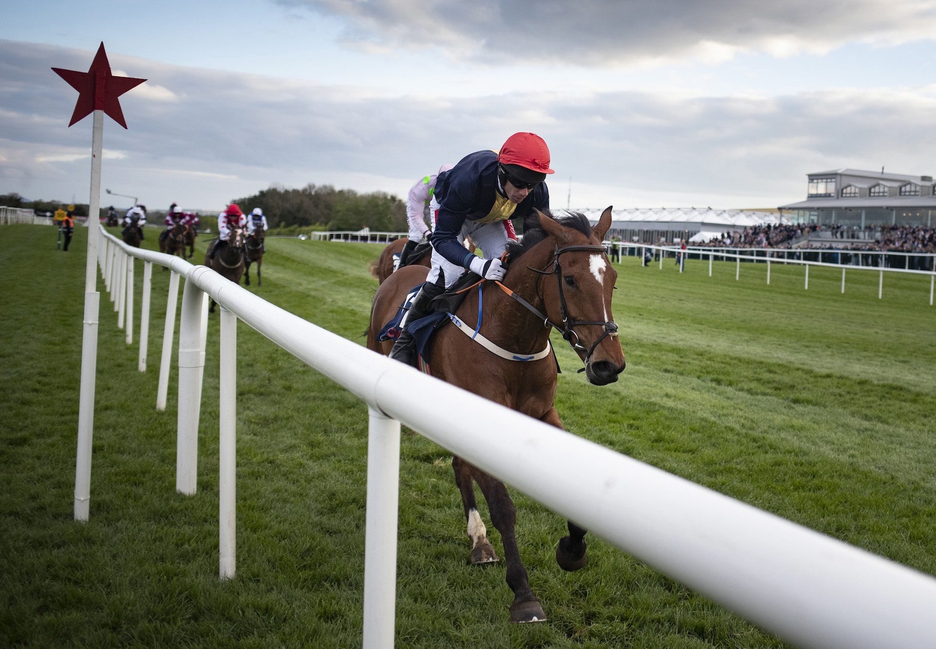 Longhouse Poet (Yeats) Wins At Punchestown