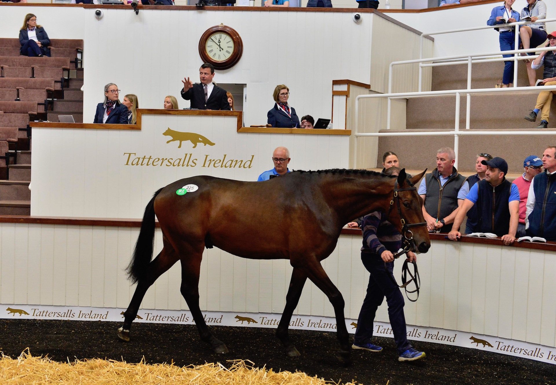 Lot 225 Walk In The Park X Sells For €230K