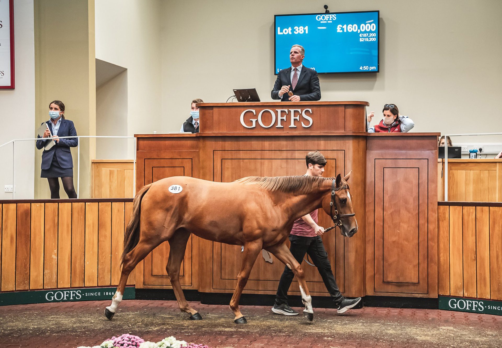 Lot 381 Goffs Uk Web