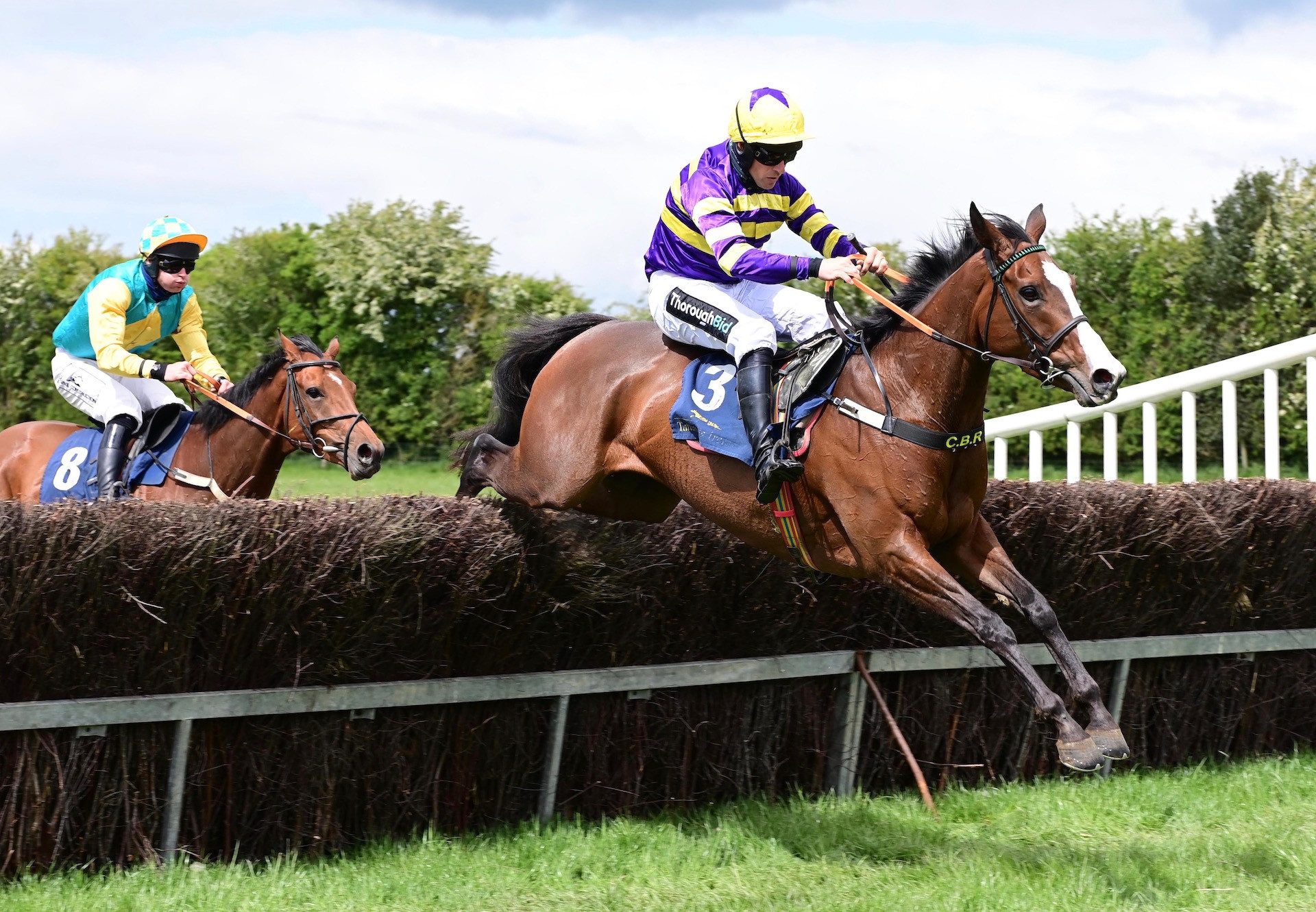 Lucky Light (Leading Light) Lands The 5 YO Mares Maiden At Ballingarry