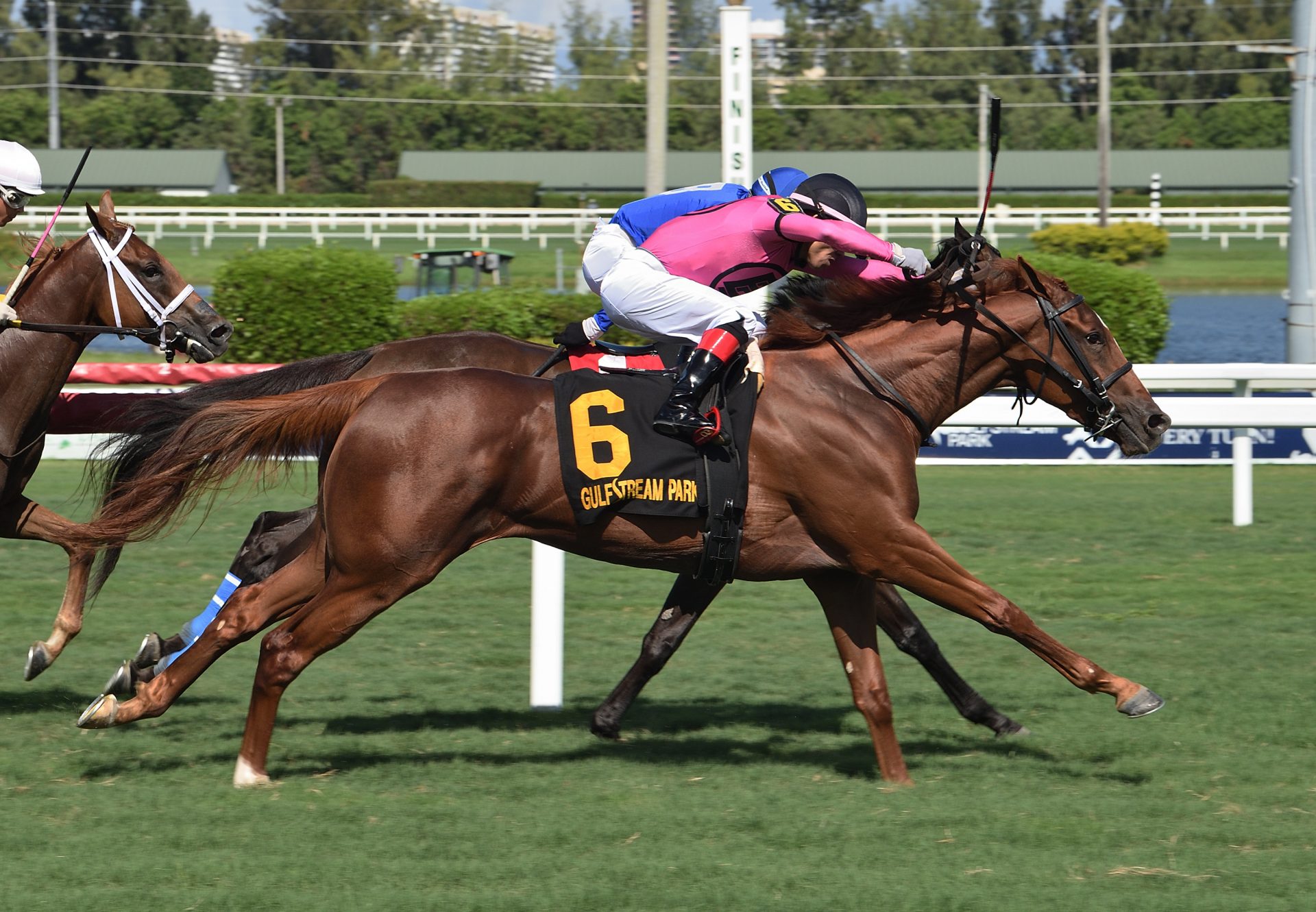 Lucky Polly (Lookin At Lucky) wins the Martha Washington Stakes at Gulfstream Park