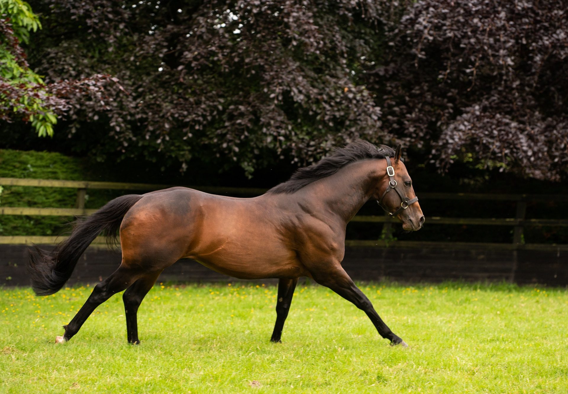 Magna Grecia Paddock Shot