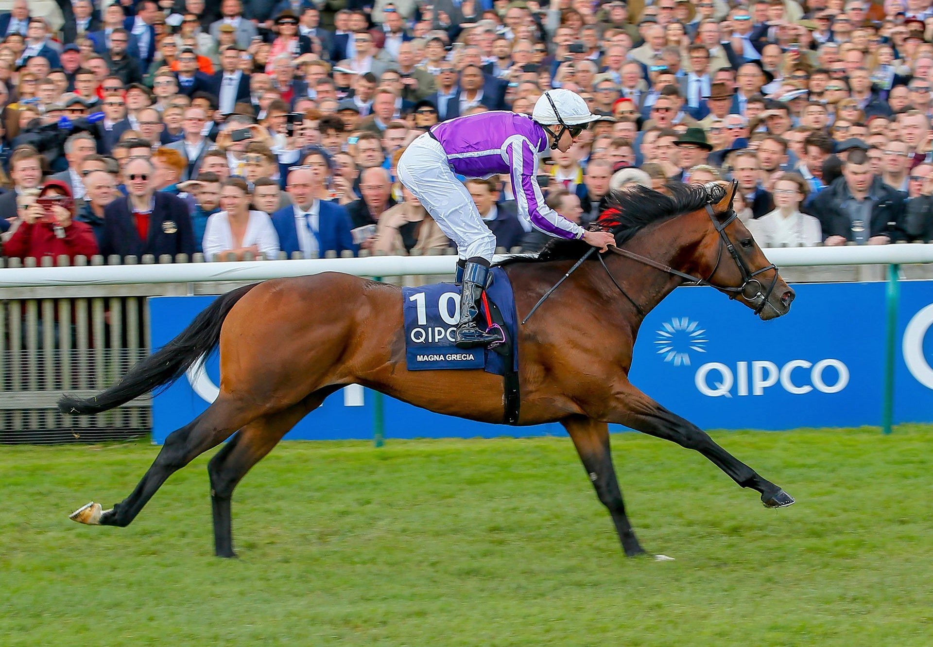 Magna Grecia winning the Gr.1 2,000 Guineas at Newmarket