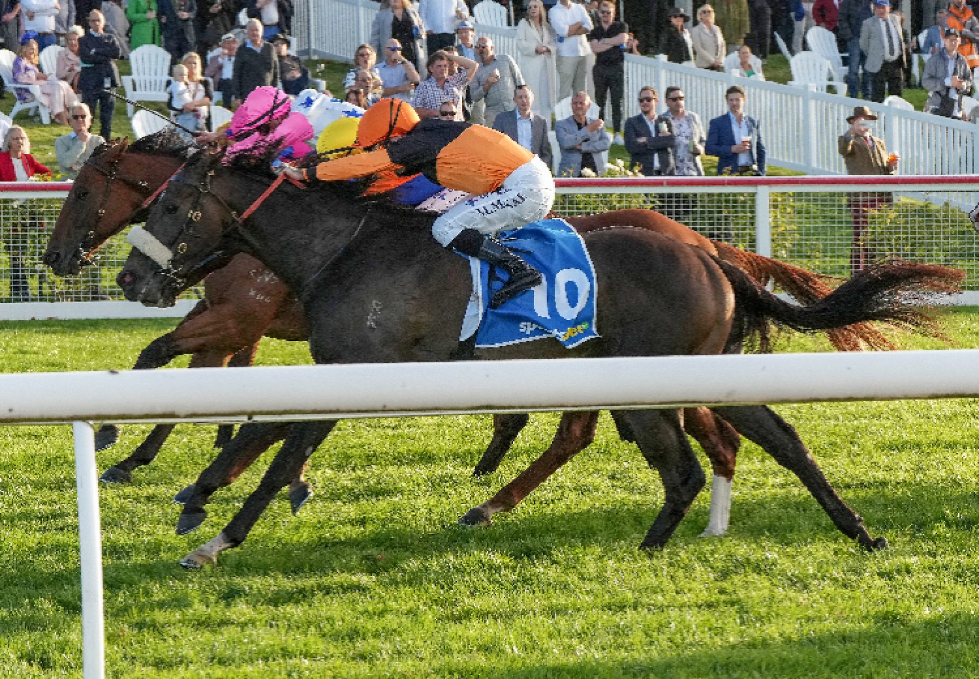 Maharba (Pride of Dubai) Listed Success at Mornington