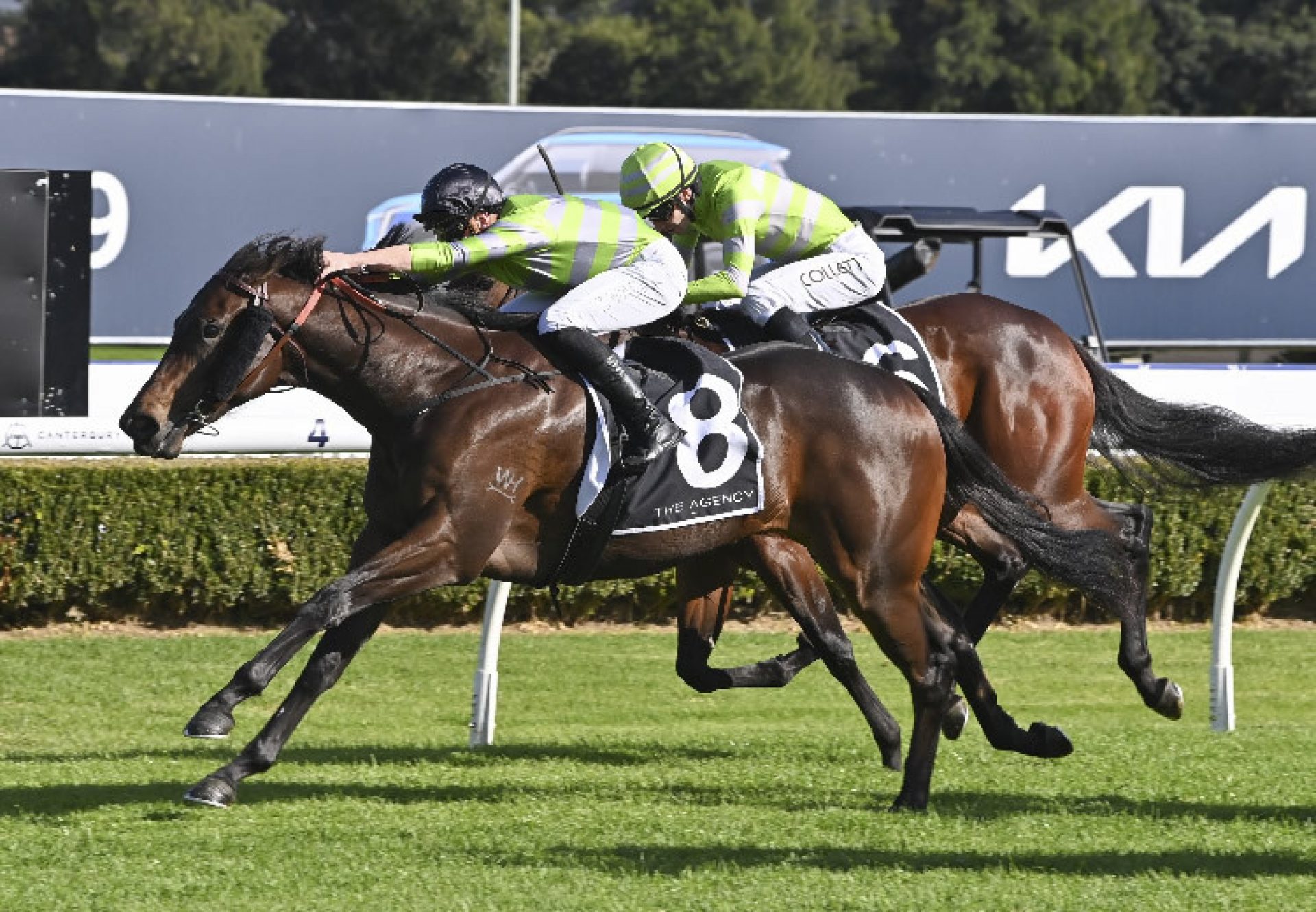 Maili (Yes Yes Yes) canterbury 750