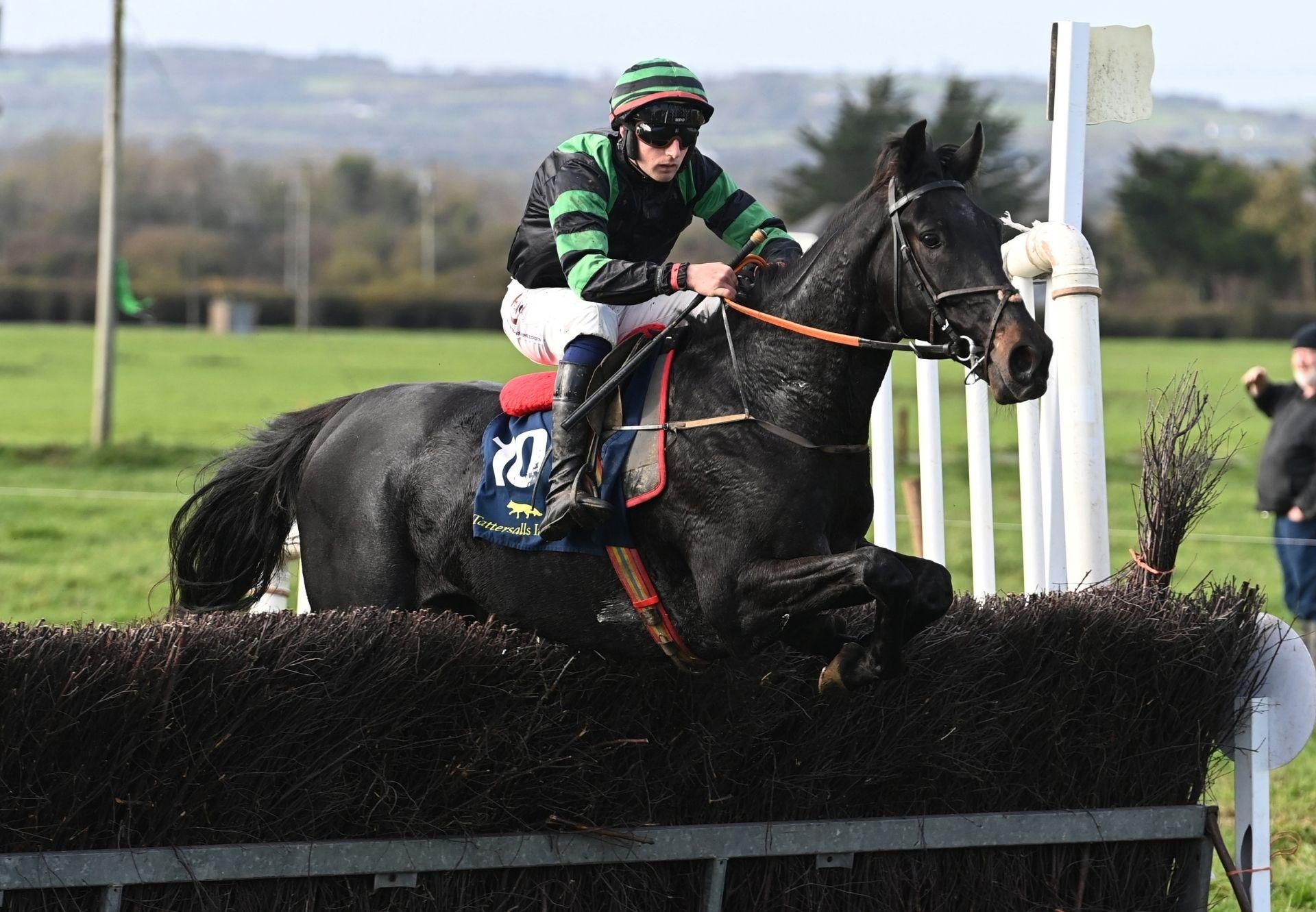 Majestic Horizon Wings Of Eagles Rathcannon