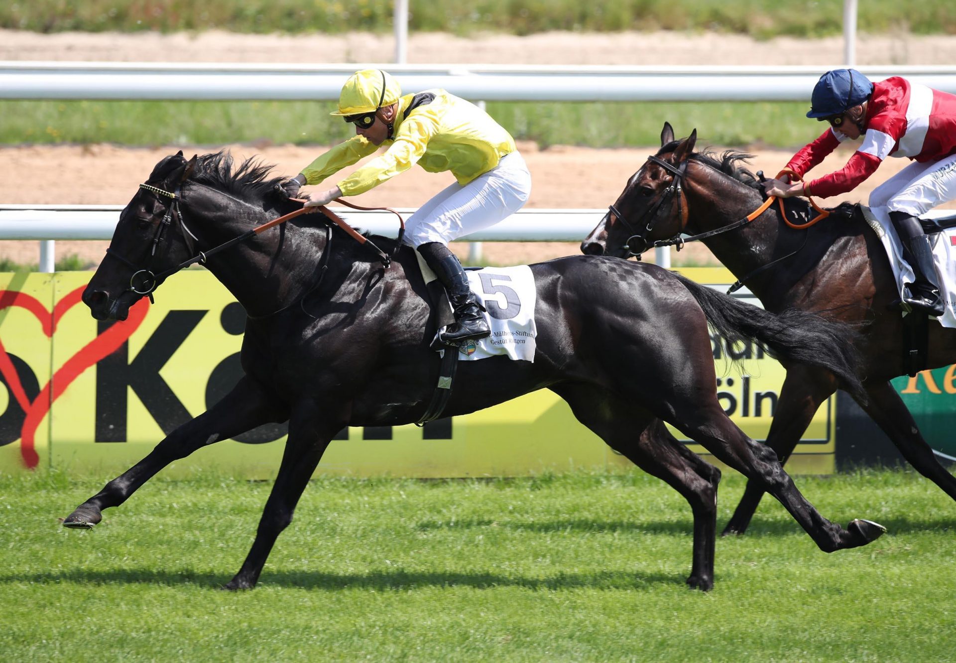 Maljoom (Caravaggio) wins the Gr.2 German 2000 Guineas
