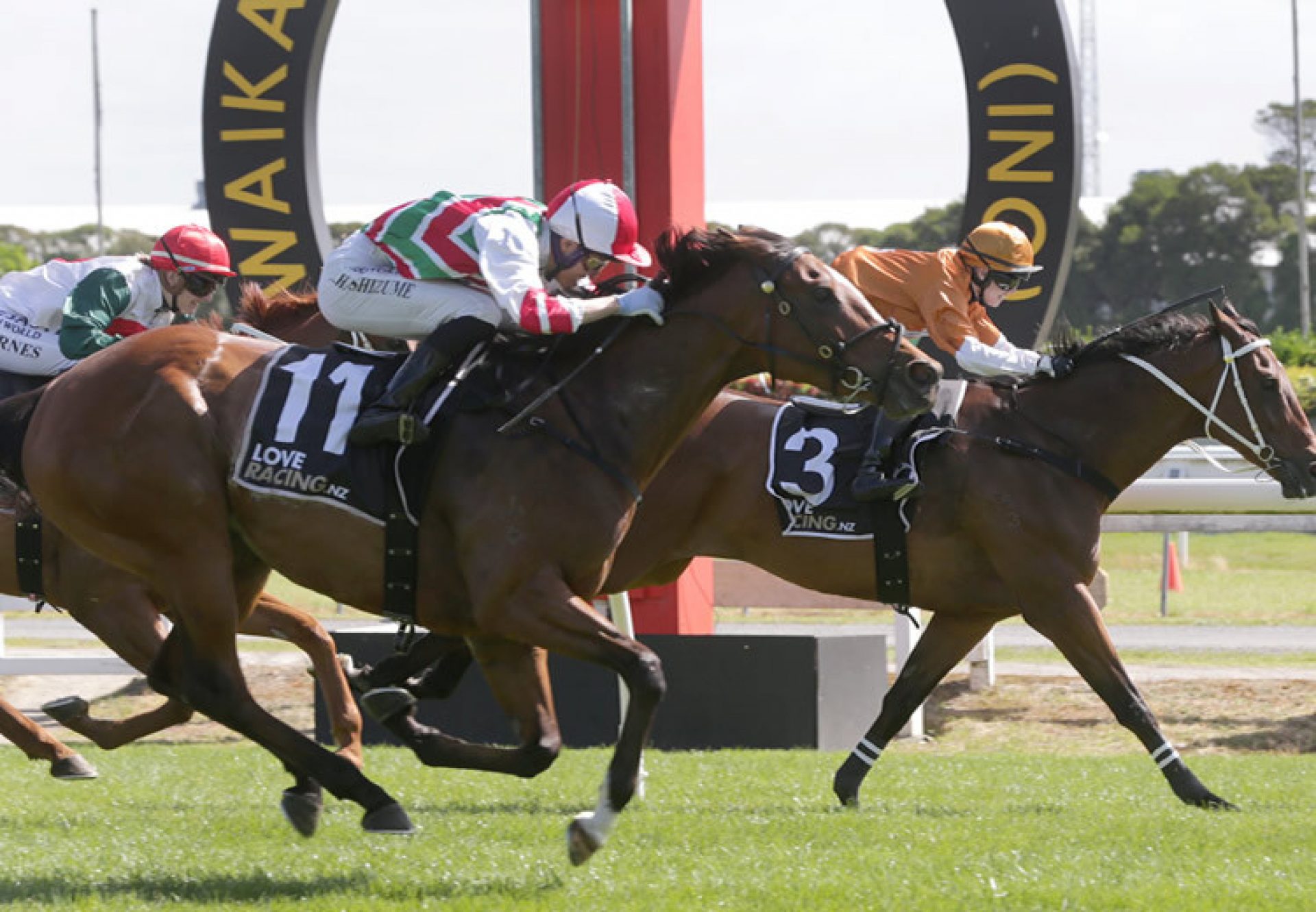 Malt Time (Adelaide) winning the Listed Legacy Lodge Sprint at Te Rapa