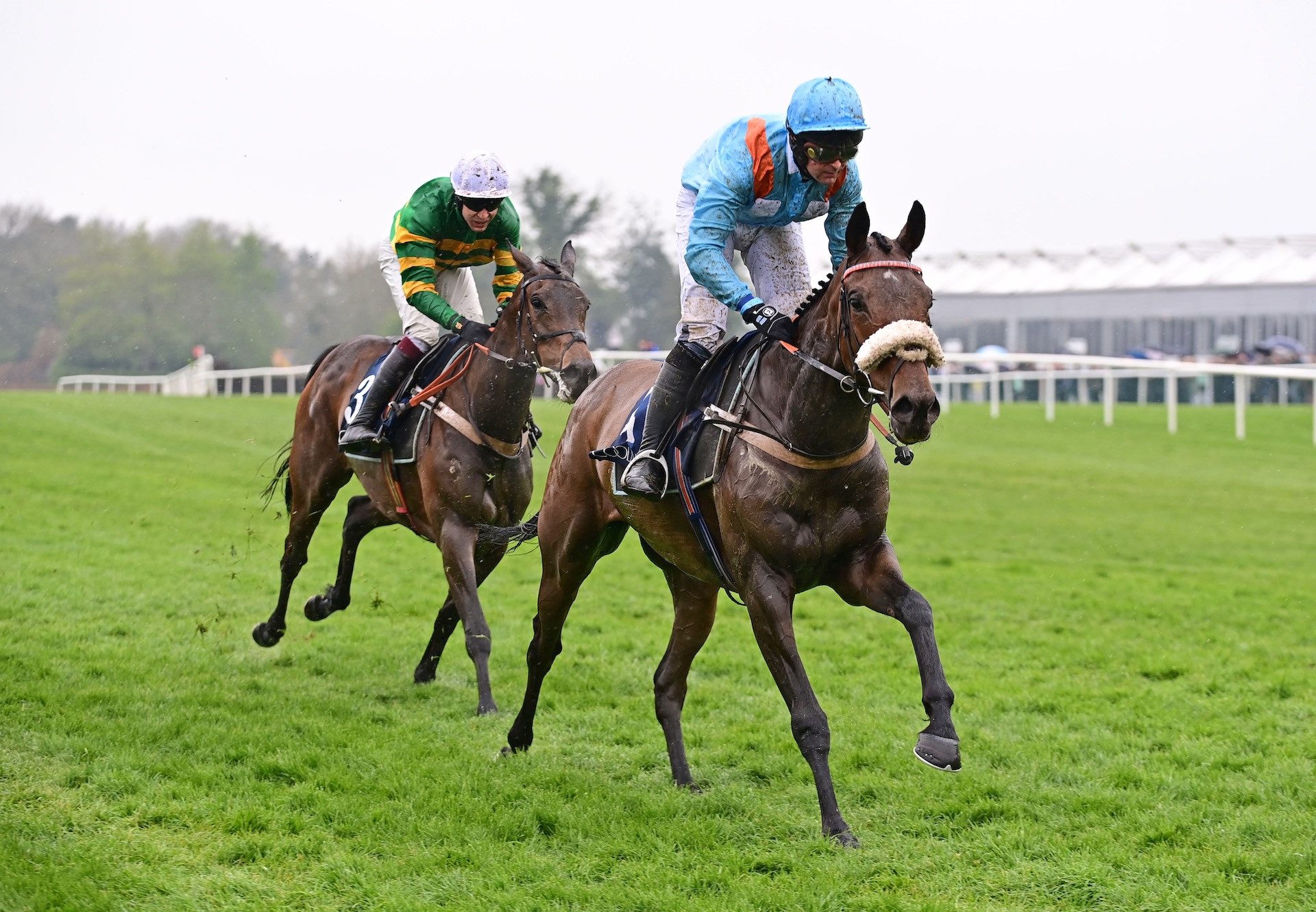 Marie's Rock (Milan) Wins The Grade 1 Coolmore Kew Gardens Irish Ebf Mares’ Champion Hurdle At Punchestown