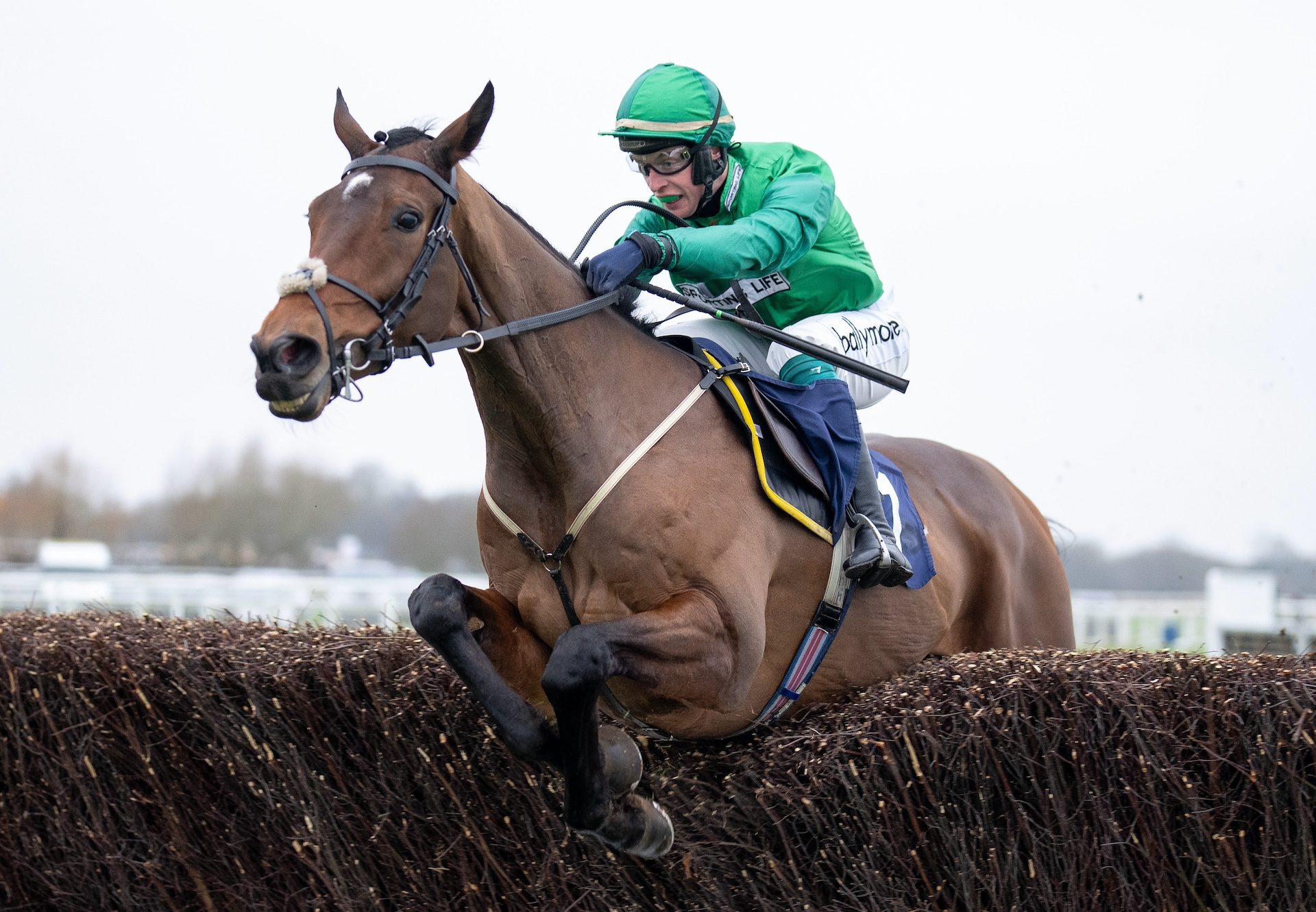 Matata (Vadamos) Impresses At Windsor