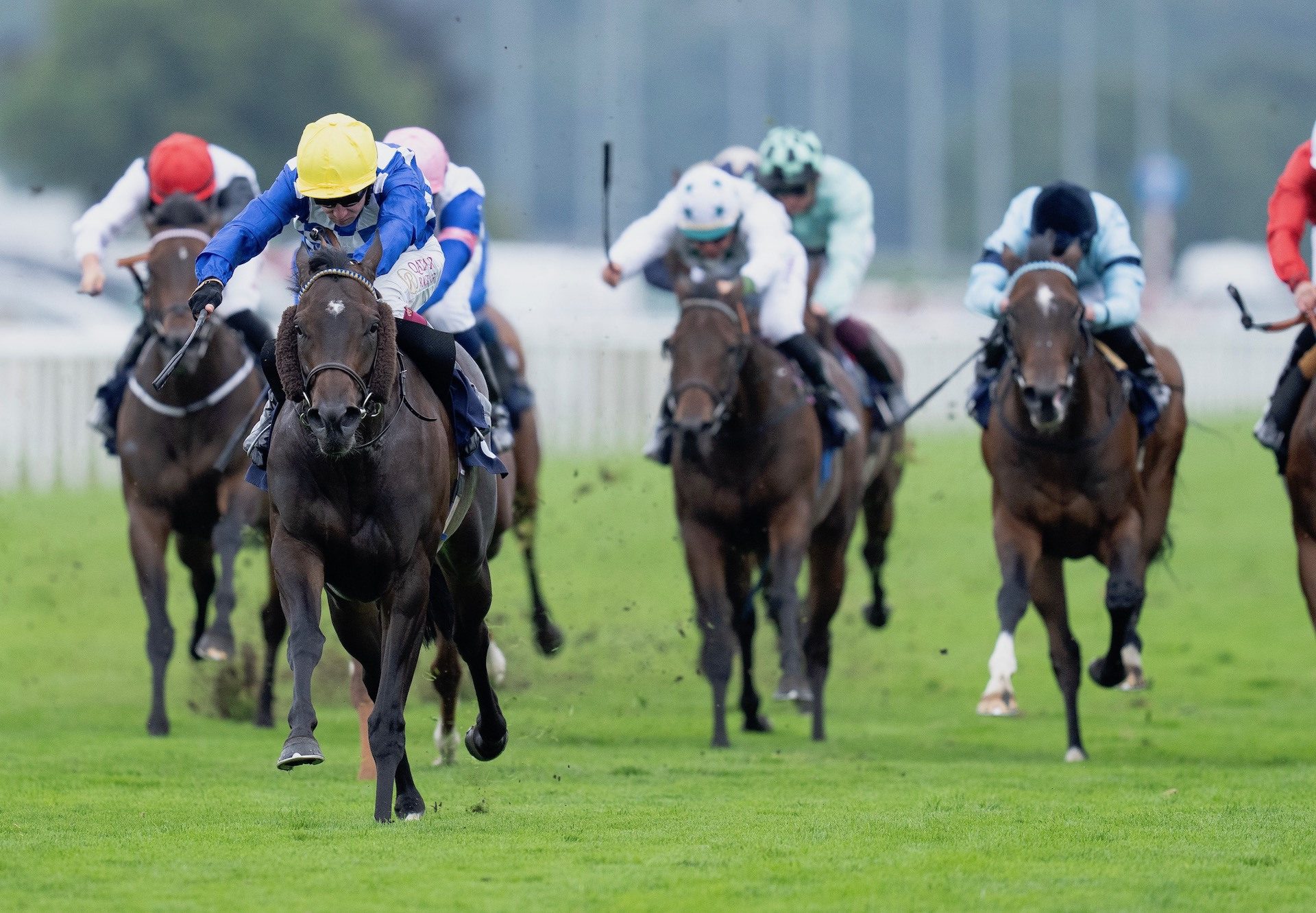 Matilda Picotte (Sioux Nation) Wins The Group 3 Sceptre Fillies’ Stakes at Doncaster