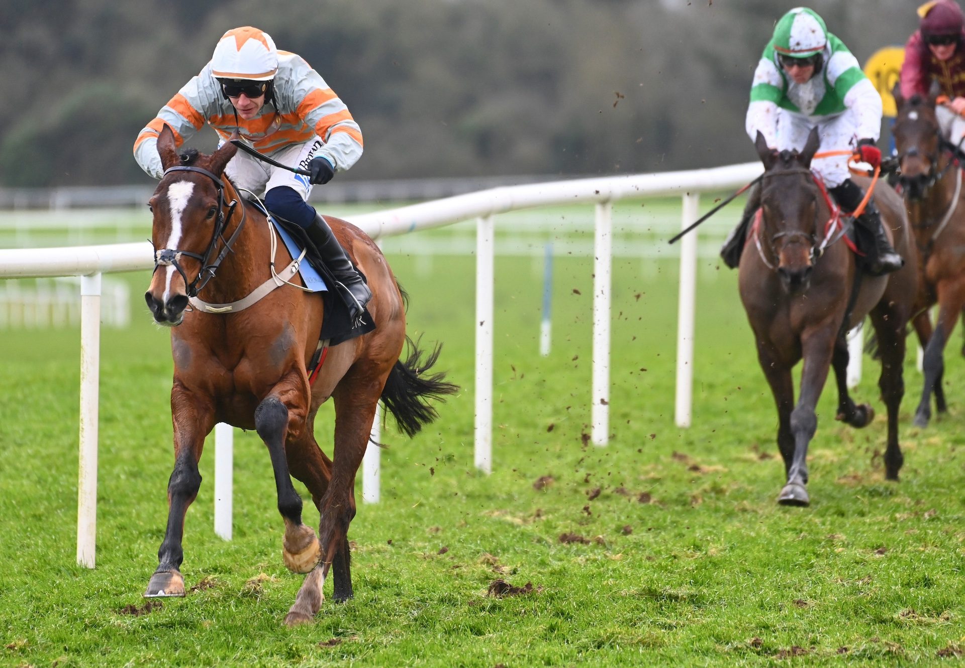 Maughreen (Walk In The Park) Wins The Mares Maiden Hurdle At Punchestown