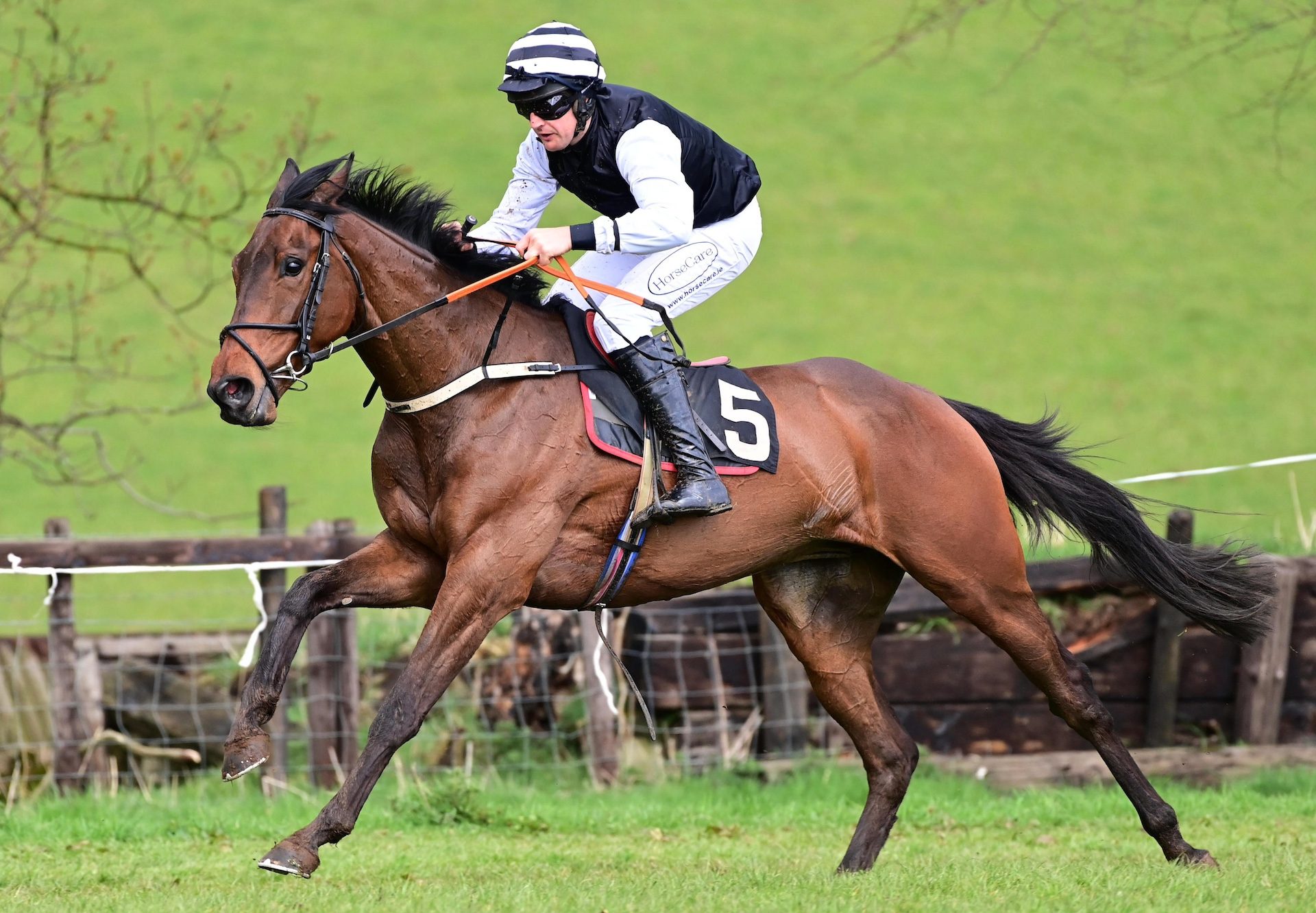 Maxd Out (Maxios) Loughanmore 39