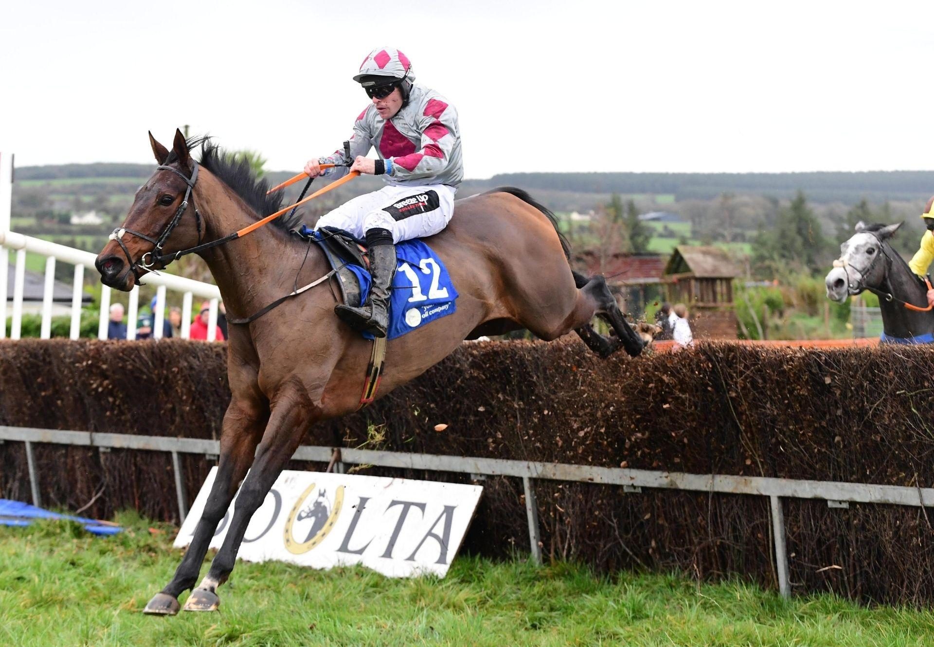 Maxios Des Champs Maxios Tattersalls Cheltenham December Sale