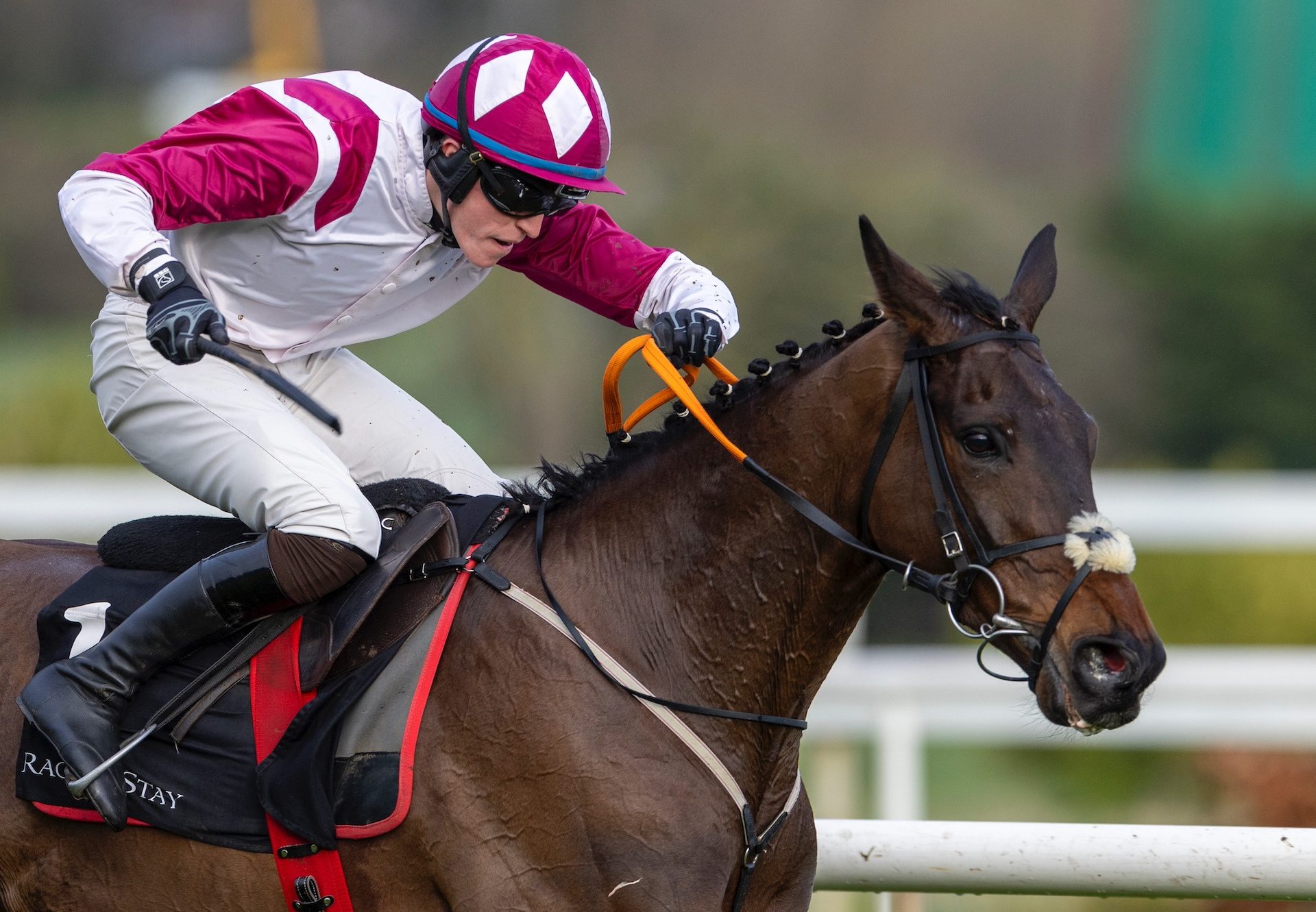 Maxxum (Westerner) Wins The Listed Hurdle At Leopardstown