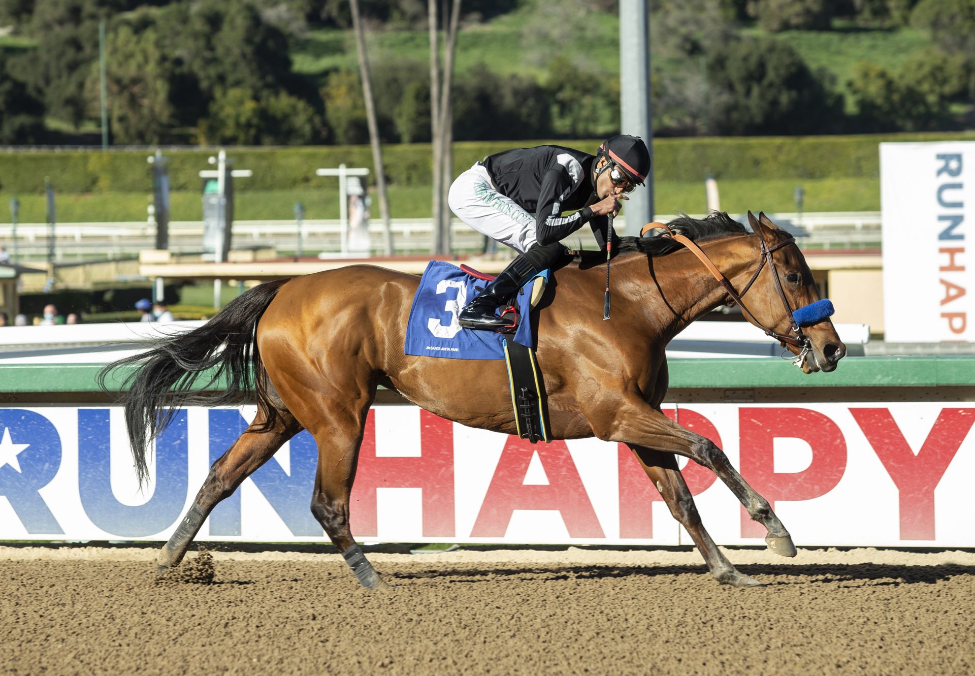 Merneith (American Pharoah) winning the G2 Santa Monica Stakes at Santa Anita