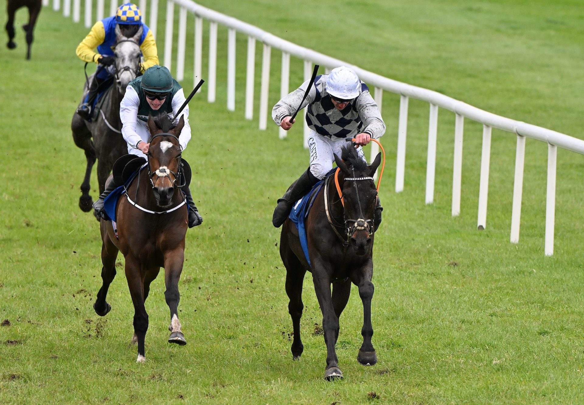 Midnight Jet (maxios) Wins On Debut At Killarney