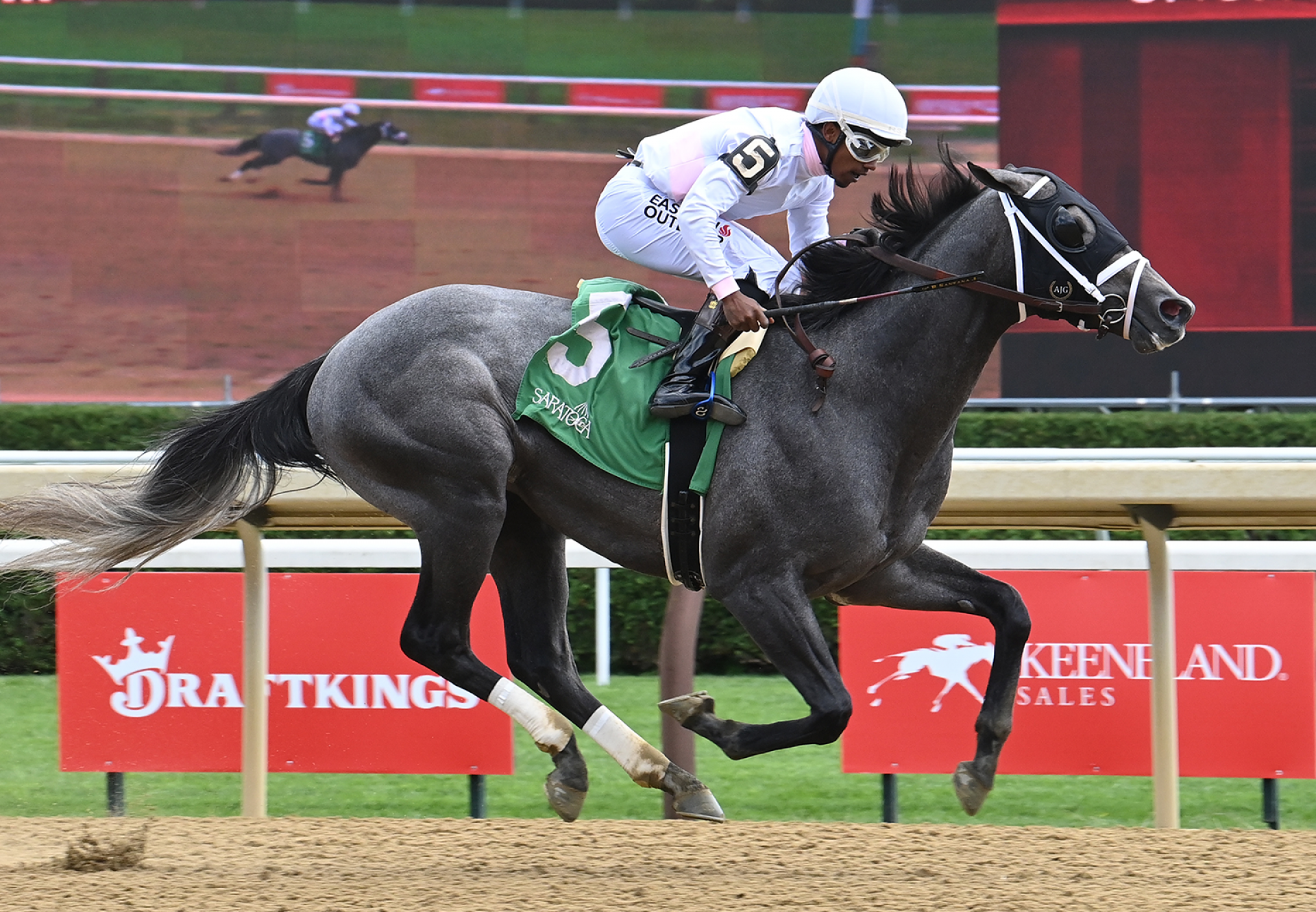 Minorinconvenience (Mendelssohn) Wins Funny Cide