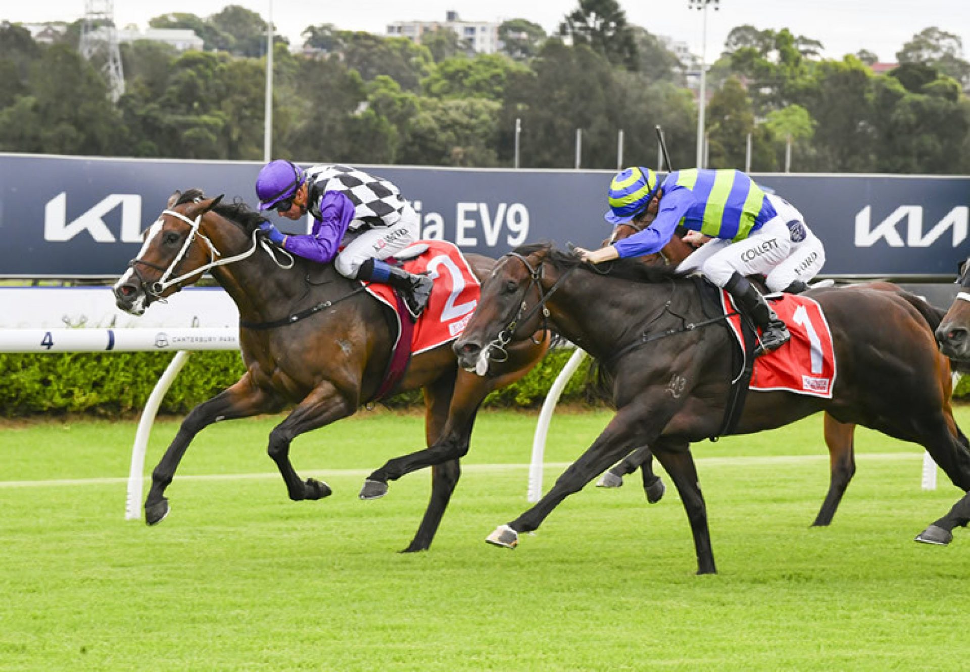 Miss Chenery (Justify) winning at Canterbury