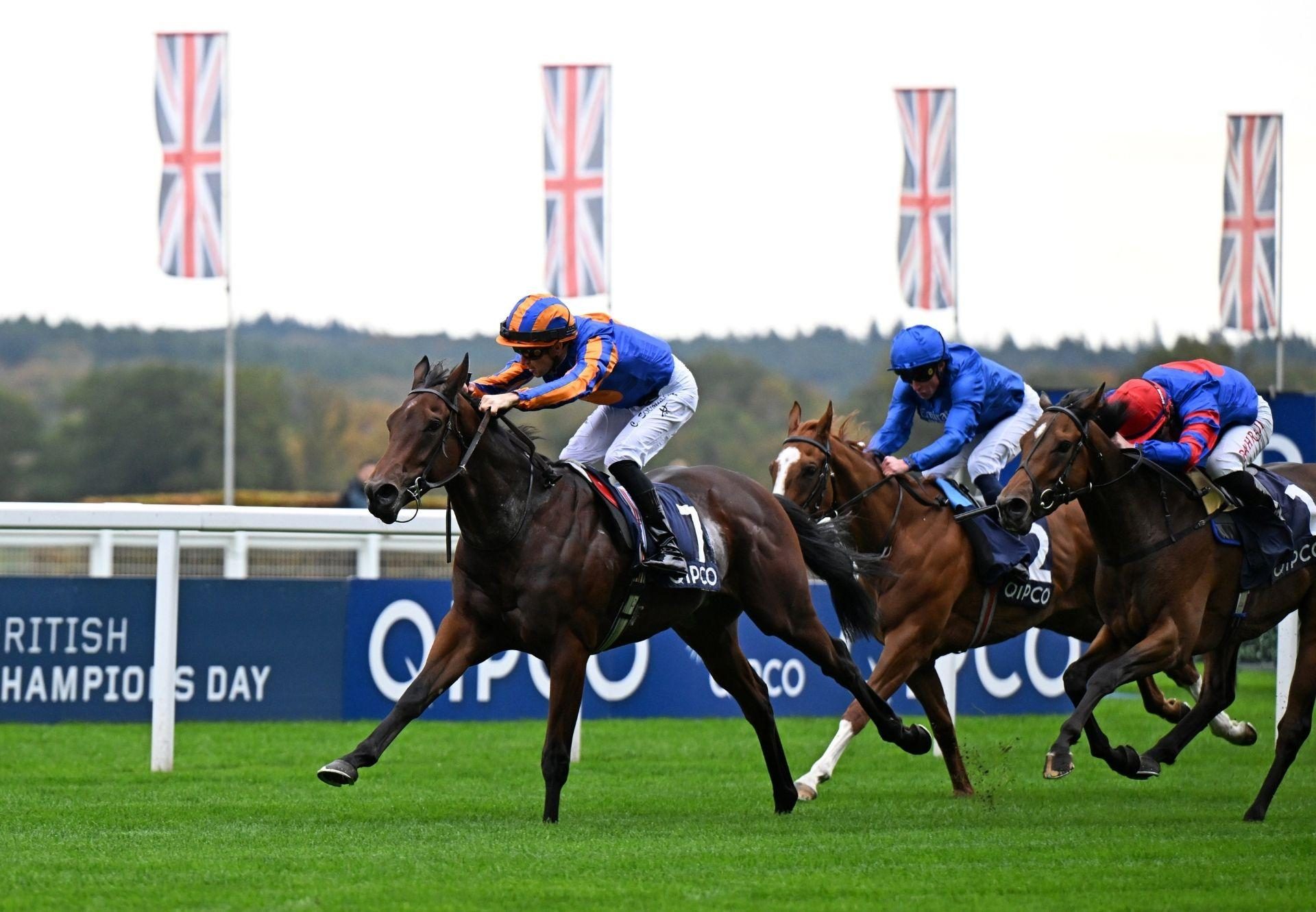 Mission Central No Nay Never Ascot