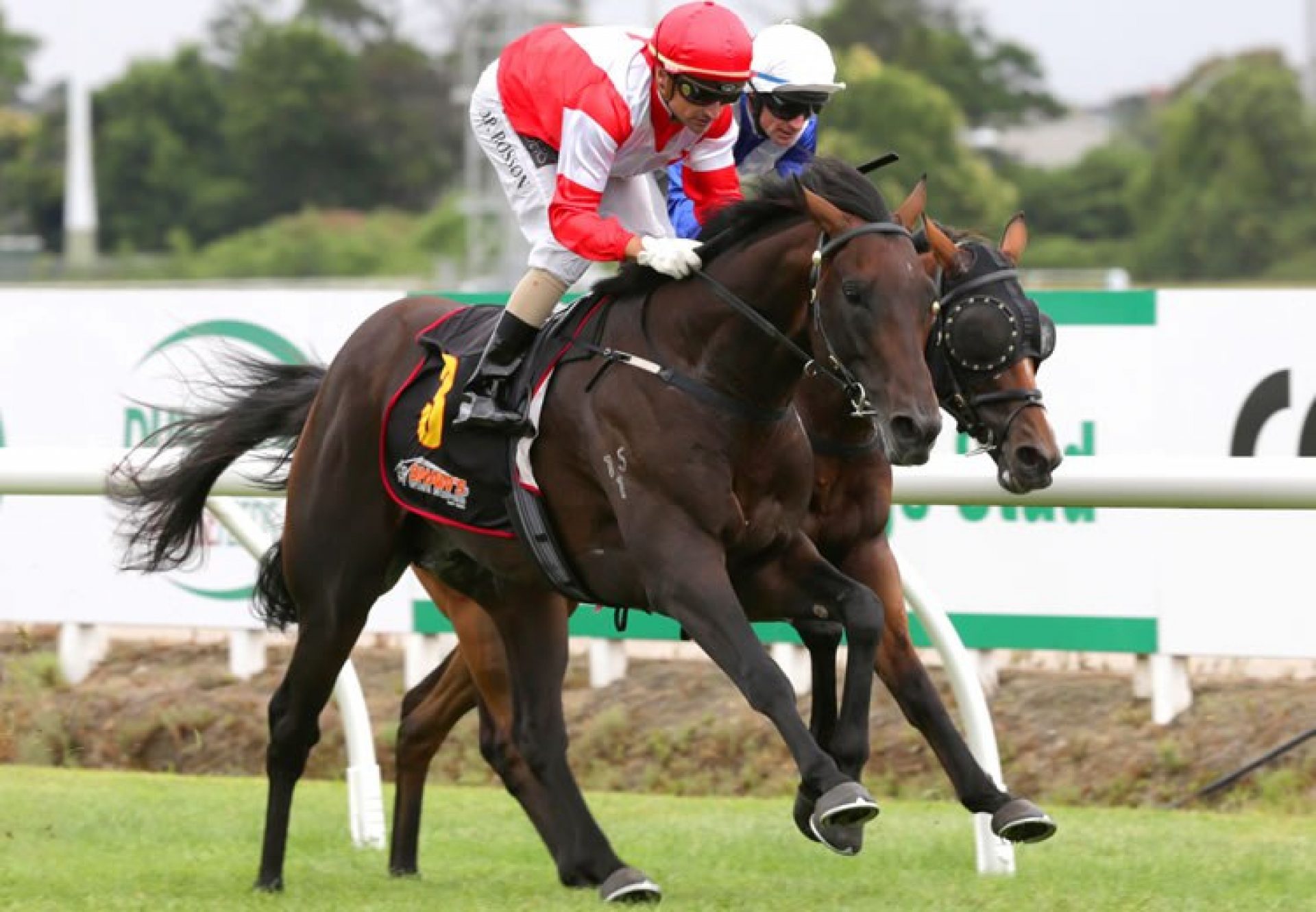 Mongolian Khan (Holy Roman Emperor) winning teh G2 Waikato Guineas at Te Rapa