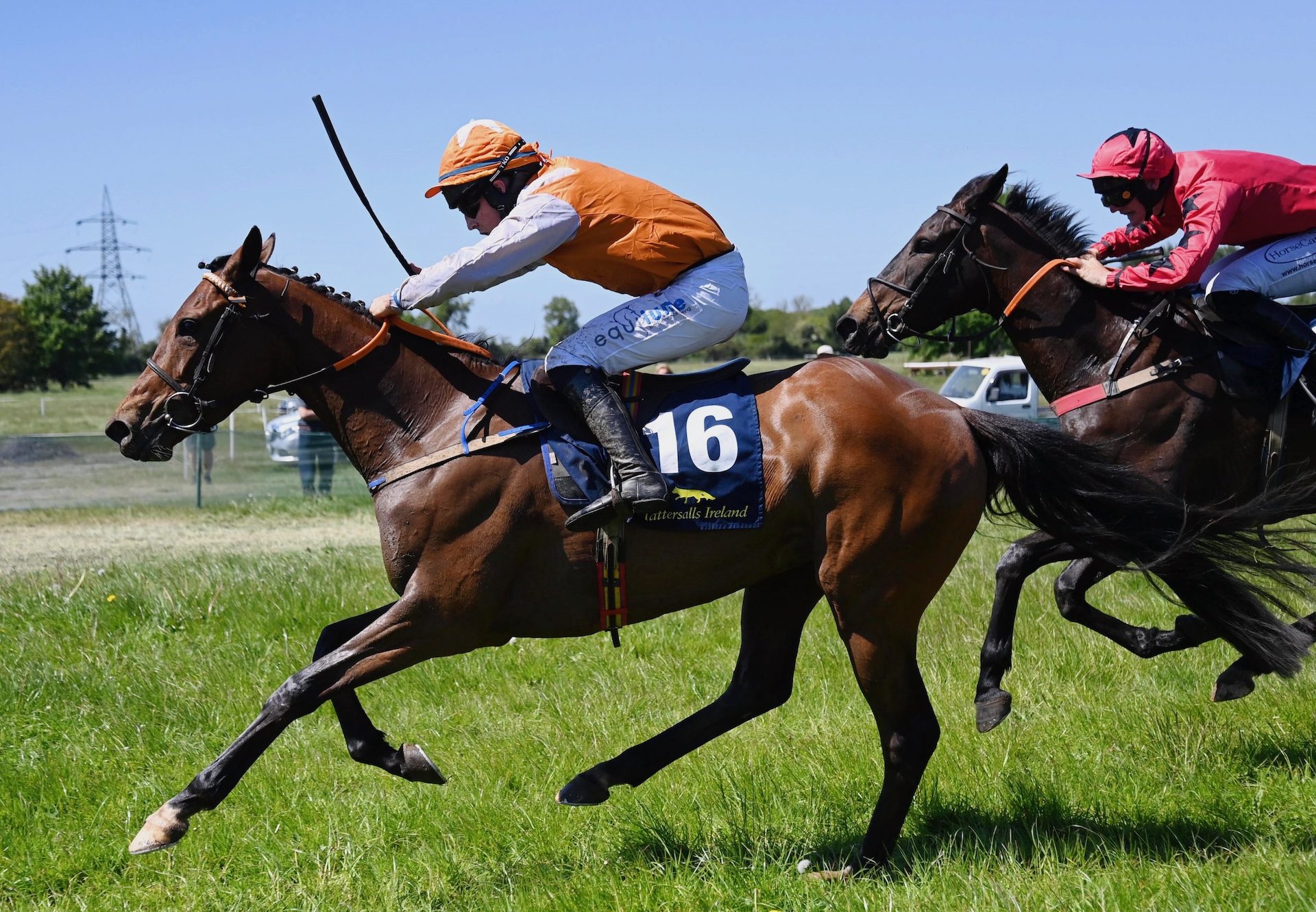 Moonlight Paradise (walk in the park) Wins On Debut At Tattersalls
