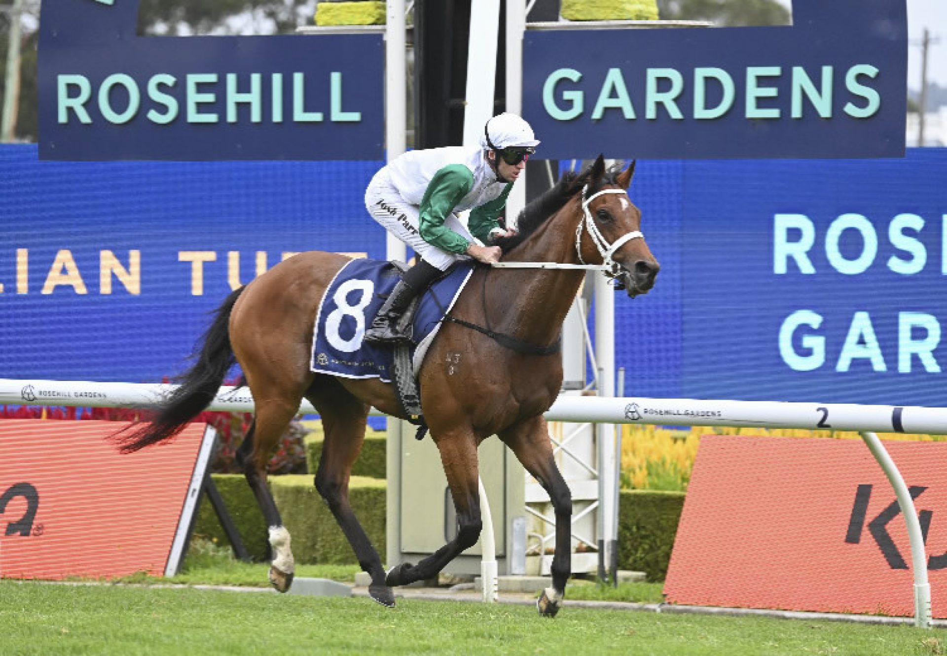 More Felons (Churchill) winning the Listed ATC Parramatta Cup (1900m) at Rosehill