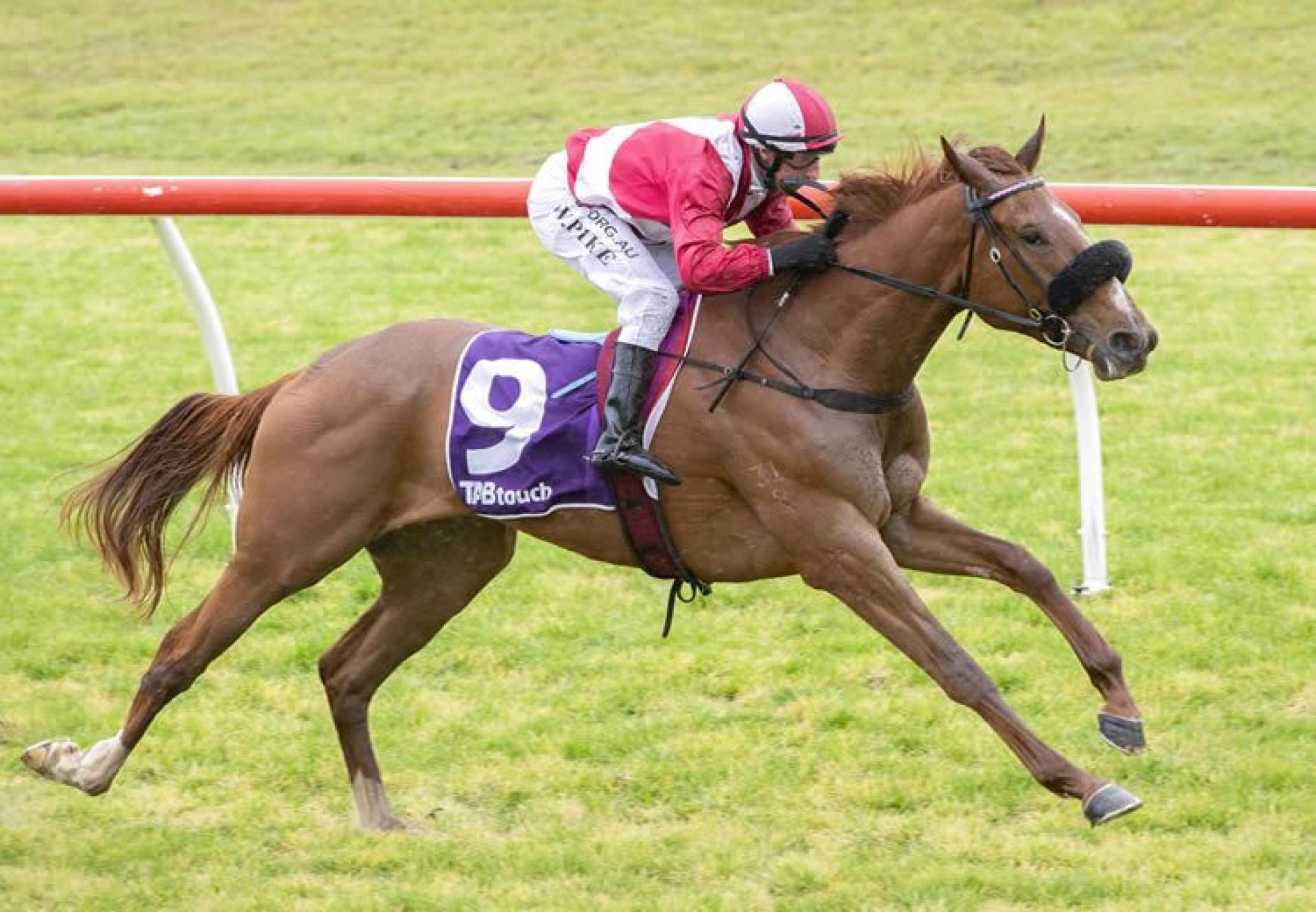 Mrs America (American Pharoah) winning at Northam