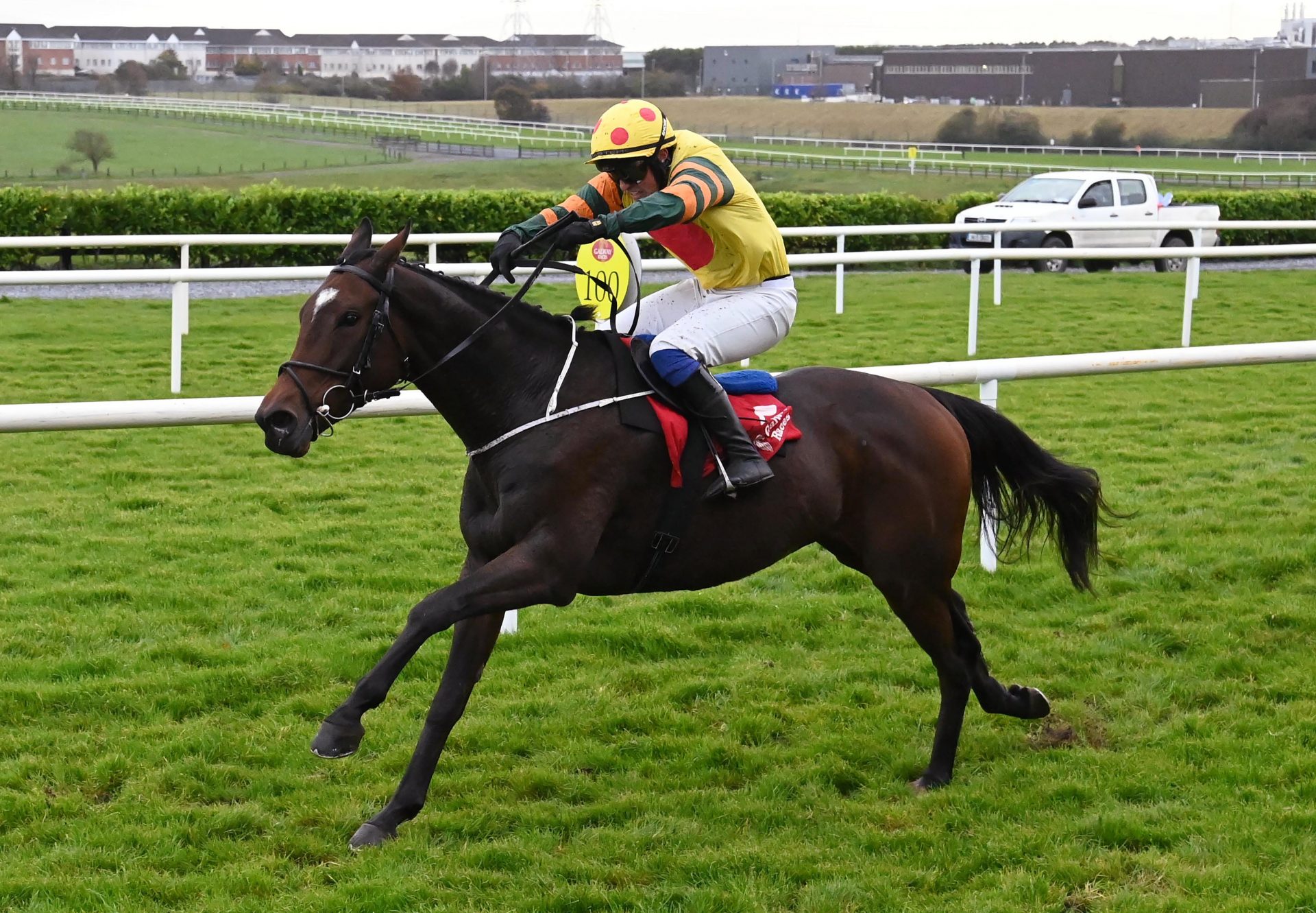 Mullaghgloss Walk In The Park Galway