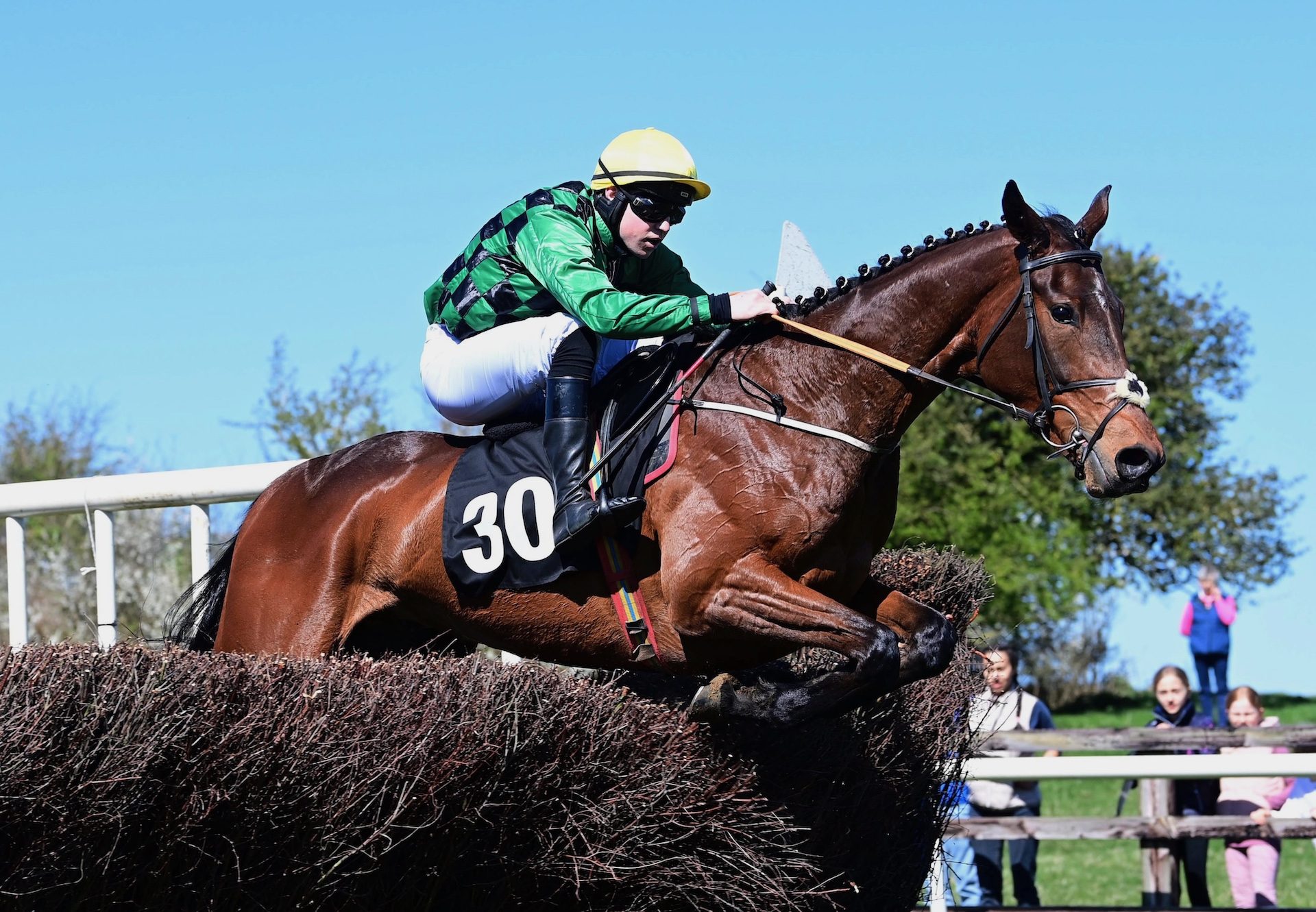 Myrighthandman (walk in the park) Wins The 4 Yo Maiden At Castletown Geoghegan