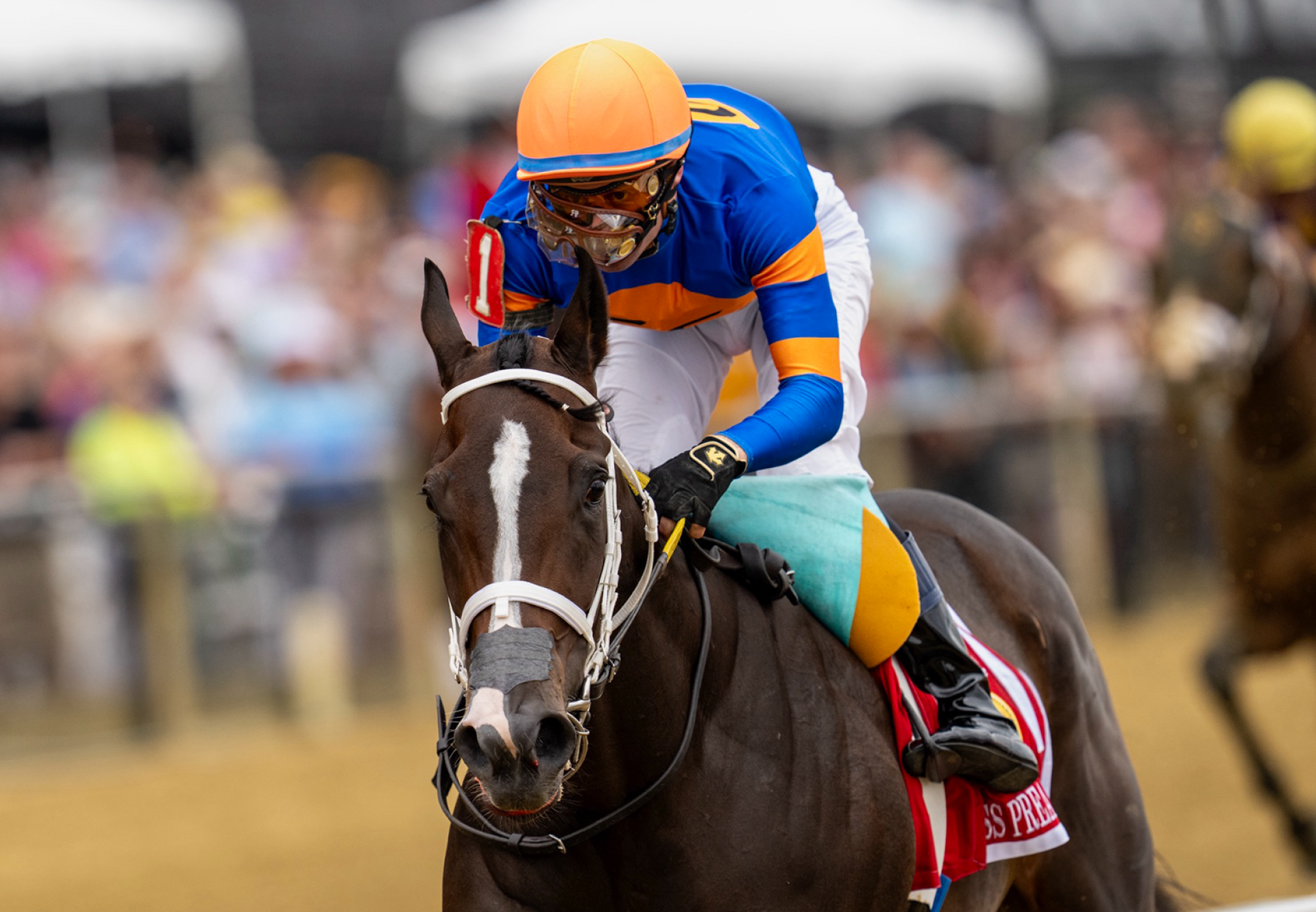 Mystic Lake (Mo Town) Wins Gr 3 Miss Preakness