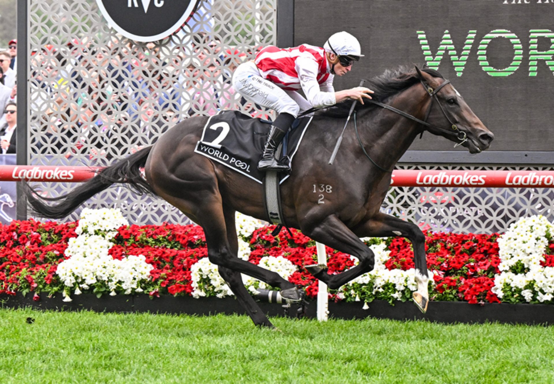 Napoleonic  wootton bassett Red Anchor 750