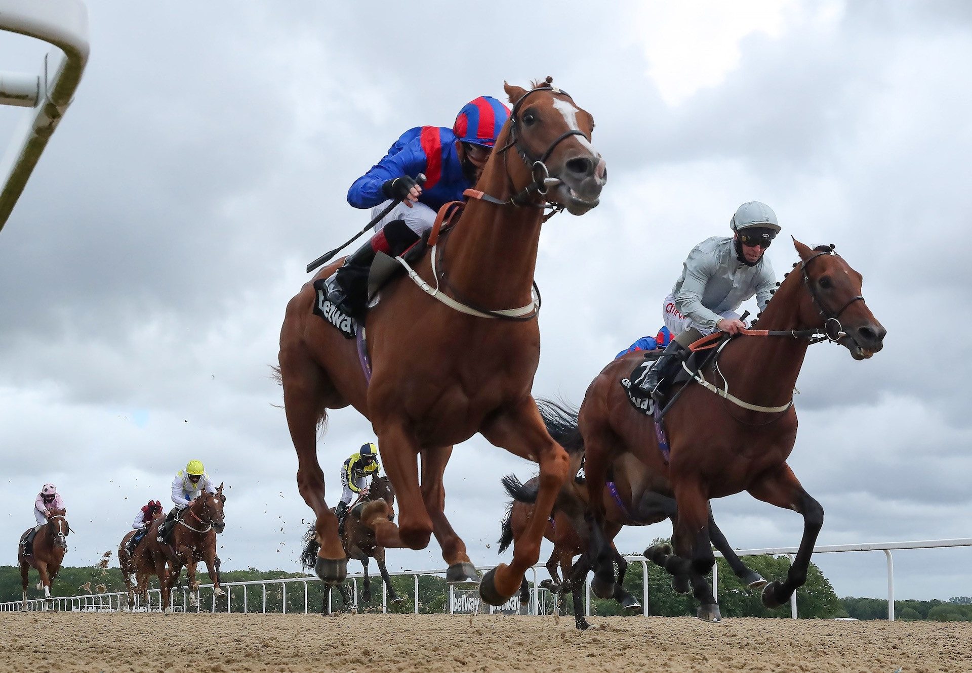 Nayef Road (Galileo) Wins the Gr.3 Sagaro Stakes at Newcastle