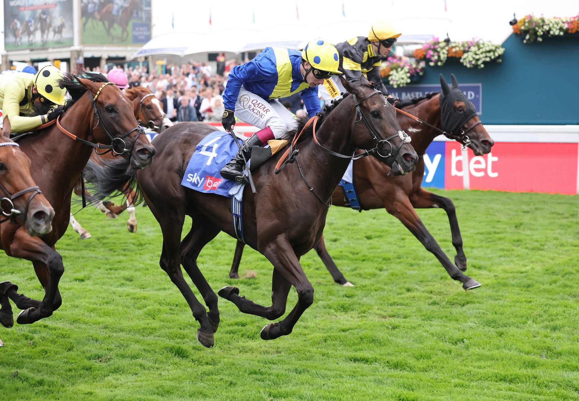 Never So Brave (no nay never) York