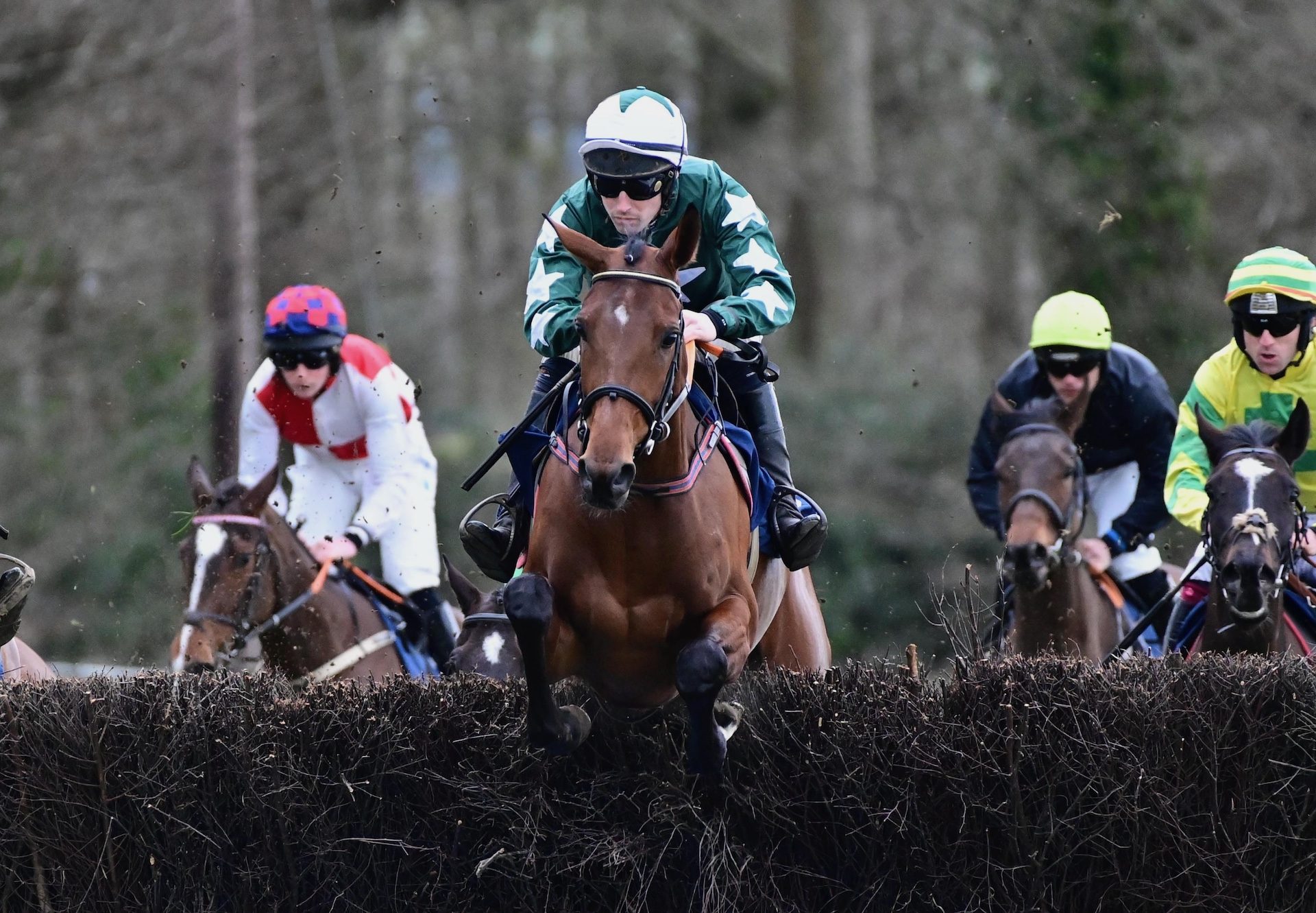 Nevershedatear (Getaway) Wins At Borris House