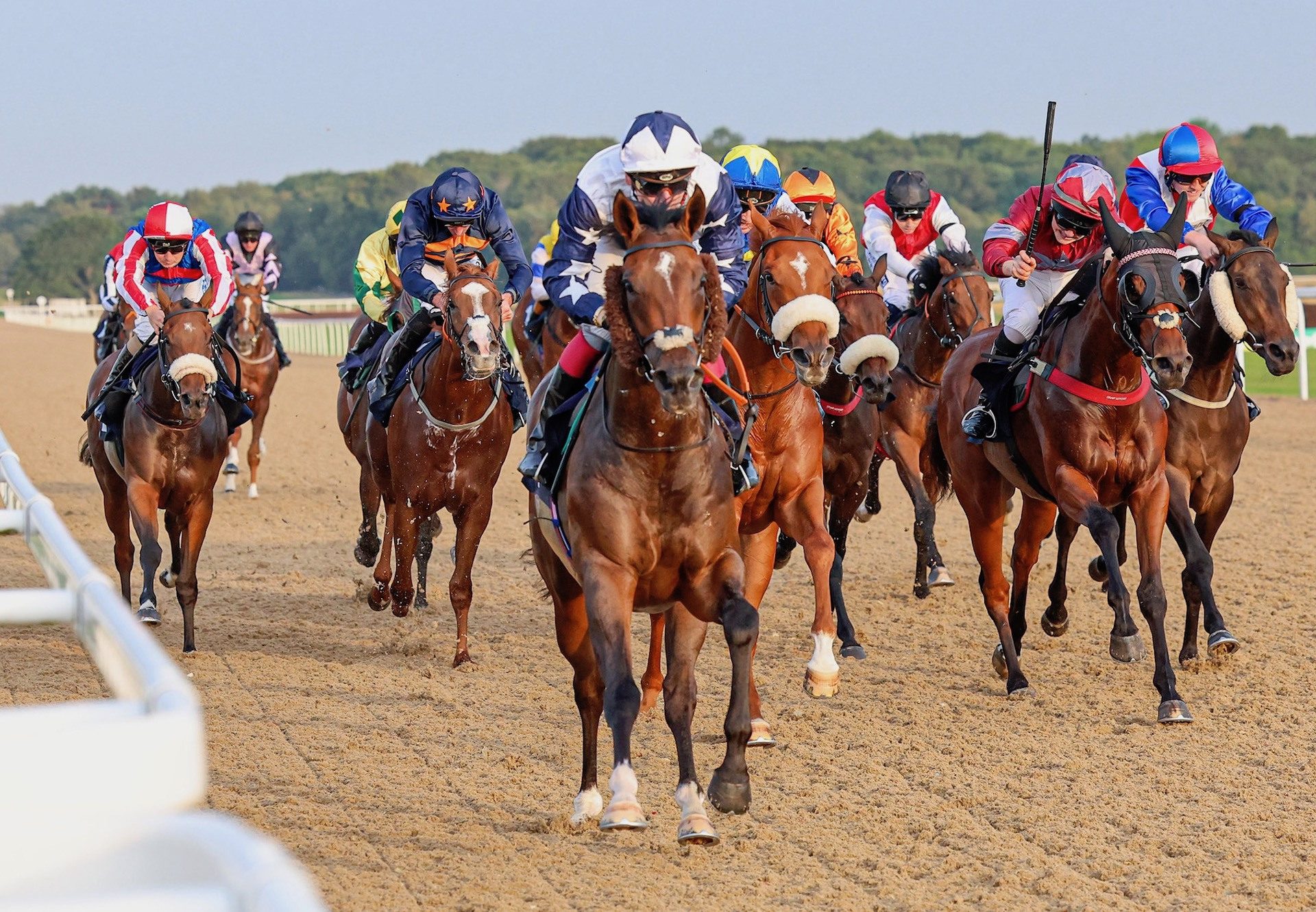 Nibras Rainbow (U S Navy Flag) Gains His Second Win at Newcastle