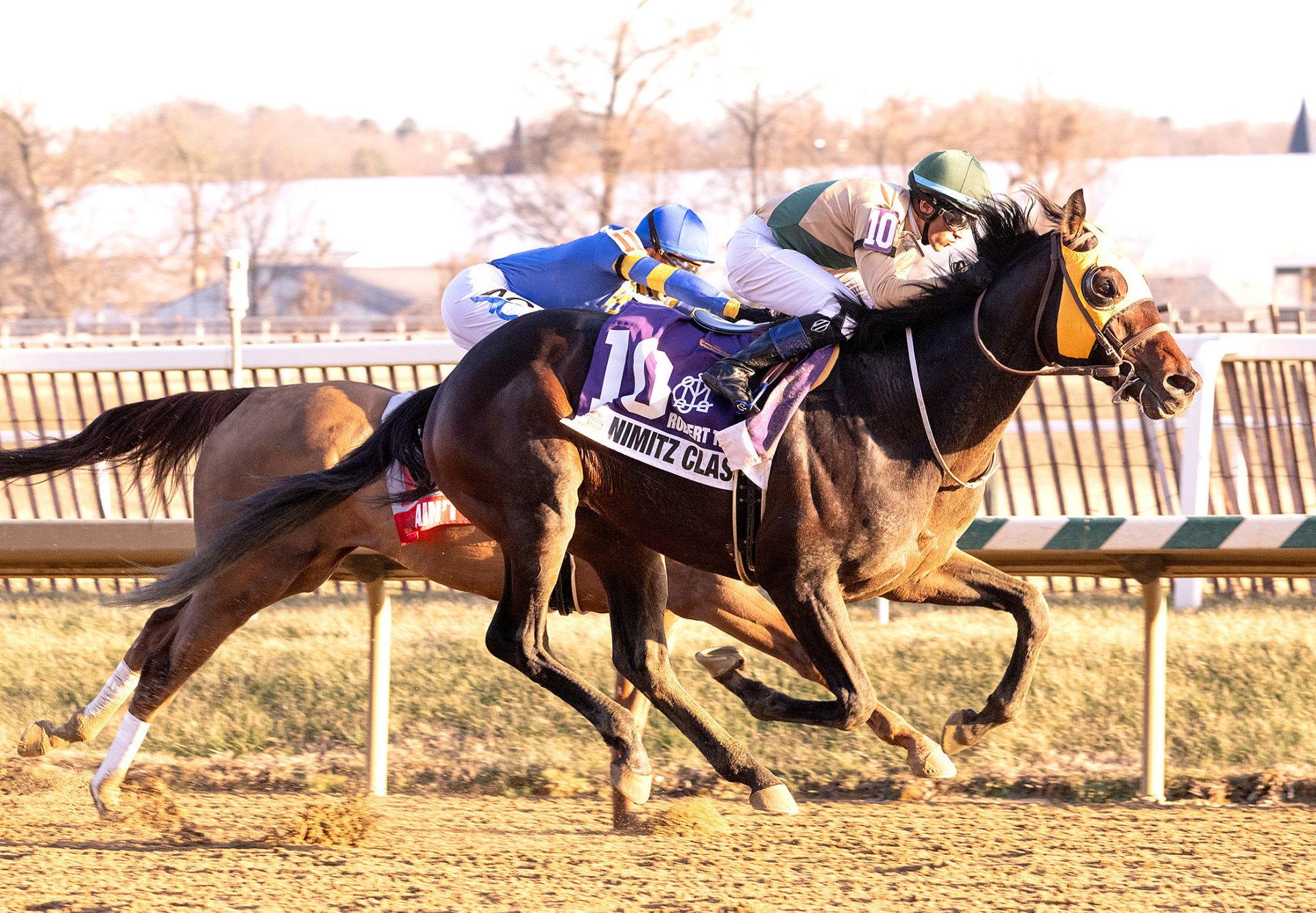 Nimitz Class (Munnings) Wins Robert T Manfuso Stakes at Laurel Park
