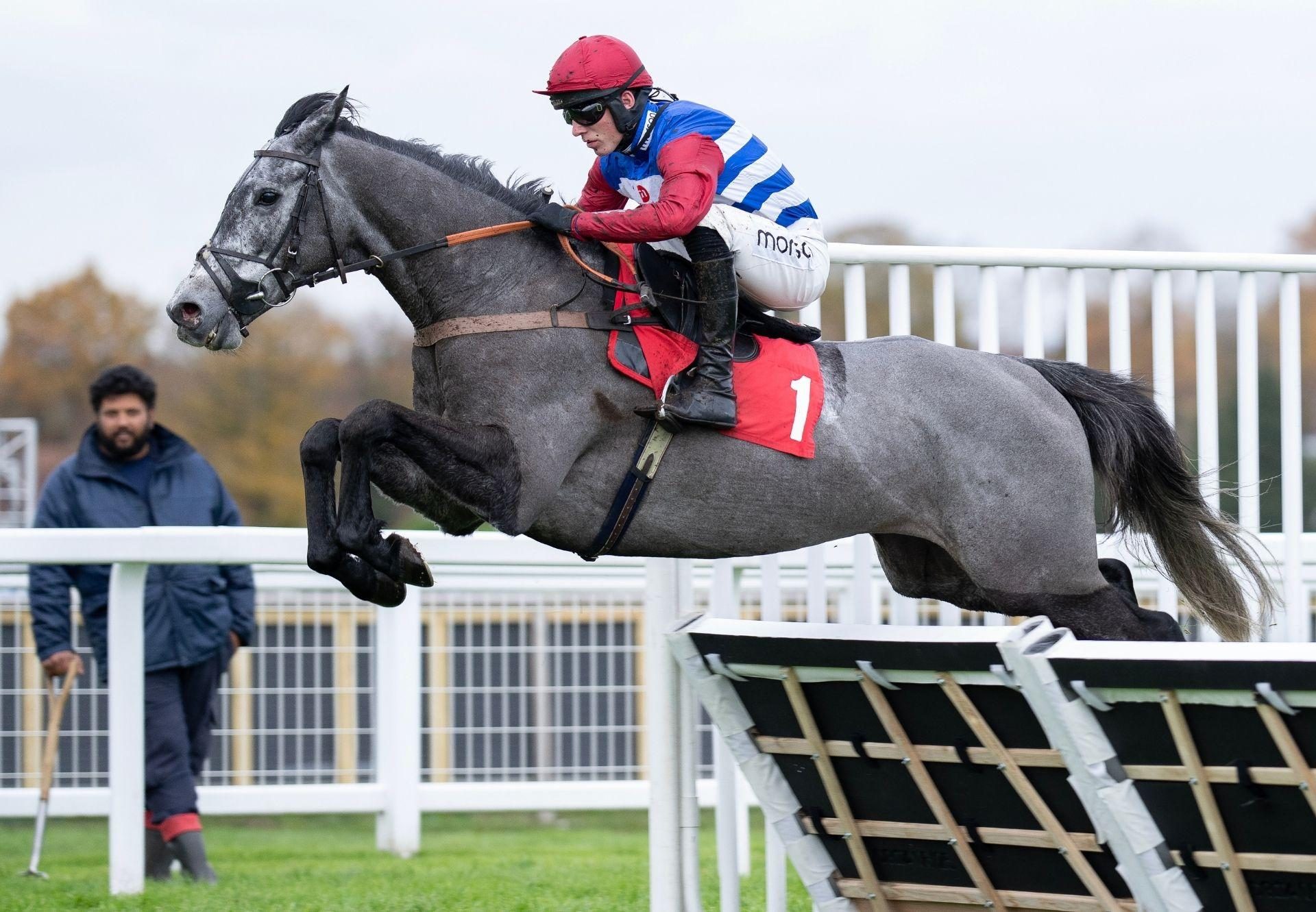 No Drama This End Walk In The Park Sandown