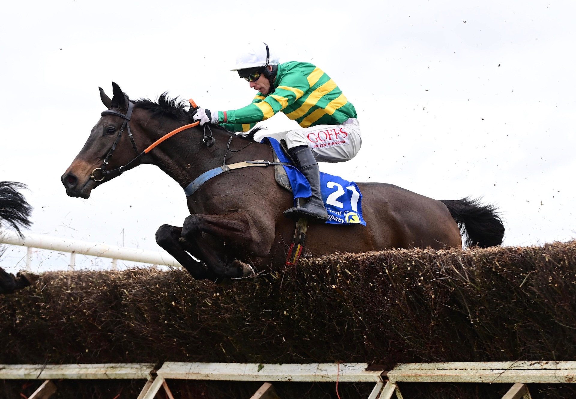 No Flies On Him (Westerner) Wins On Debut at Knockanard P2P