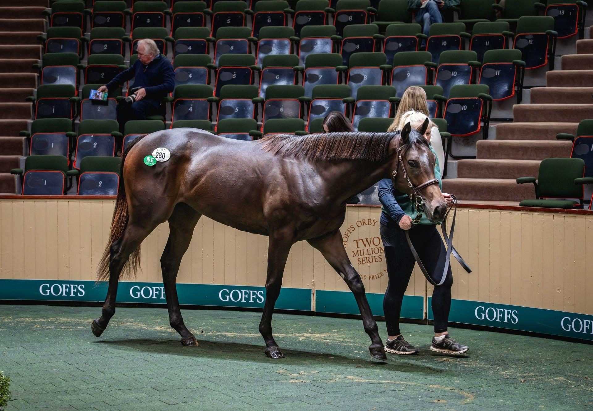 No Nay Never Filly X Muirin Goffs Orby Sale