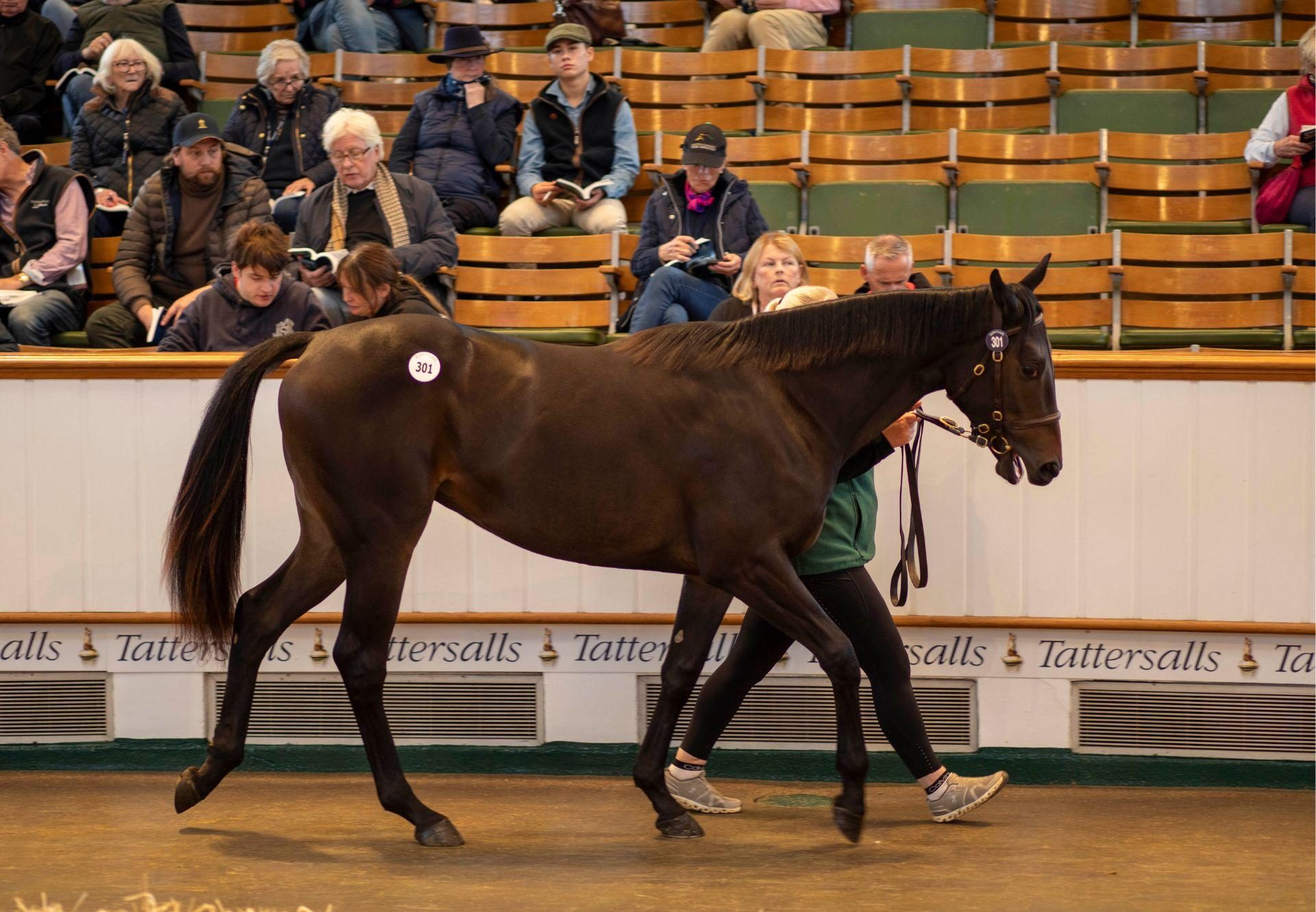 No Nay Never X Nictate Filly Tattersalls Book 1