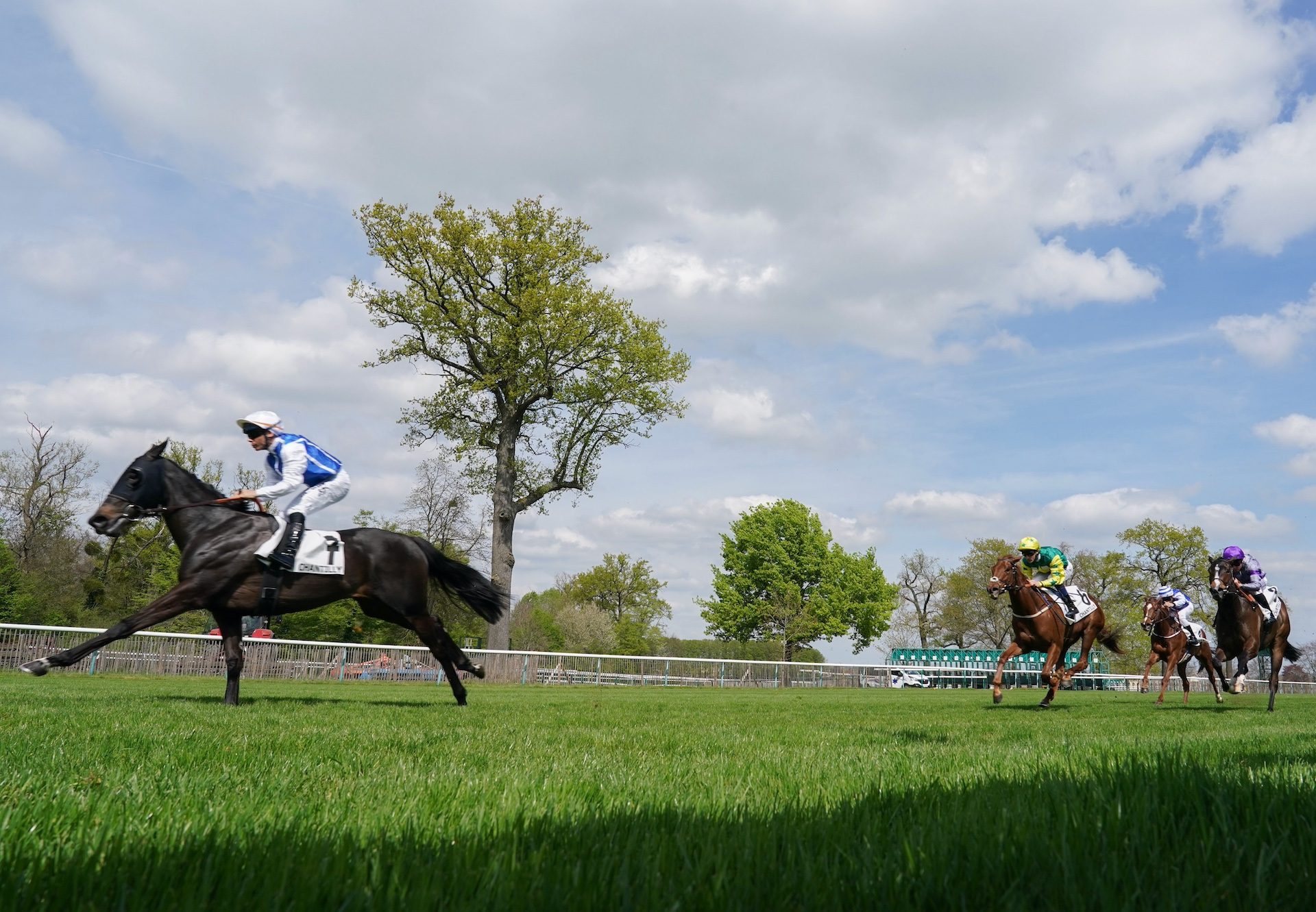 No Tune (No Nay Never) Impresses On Debut