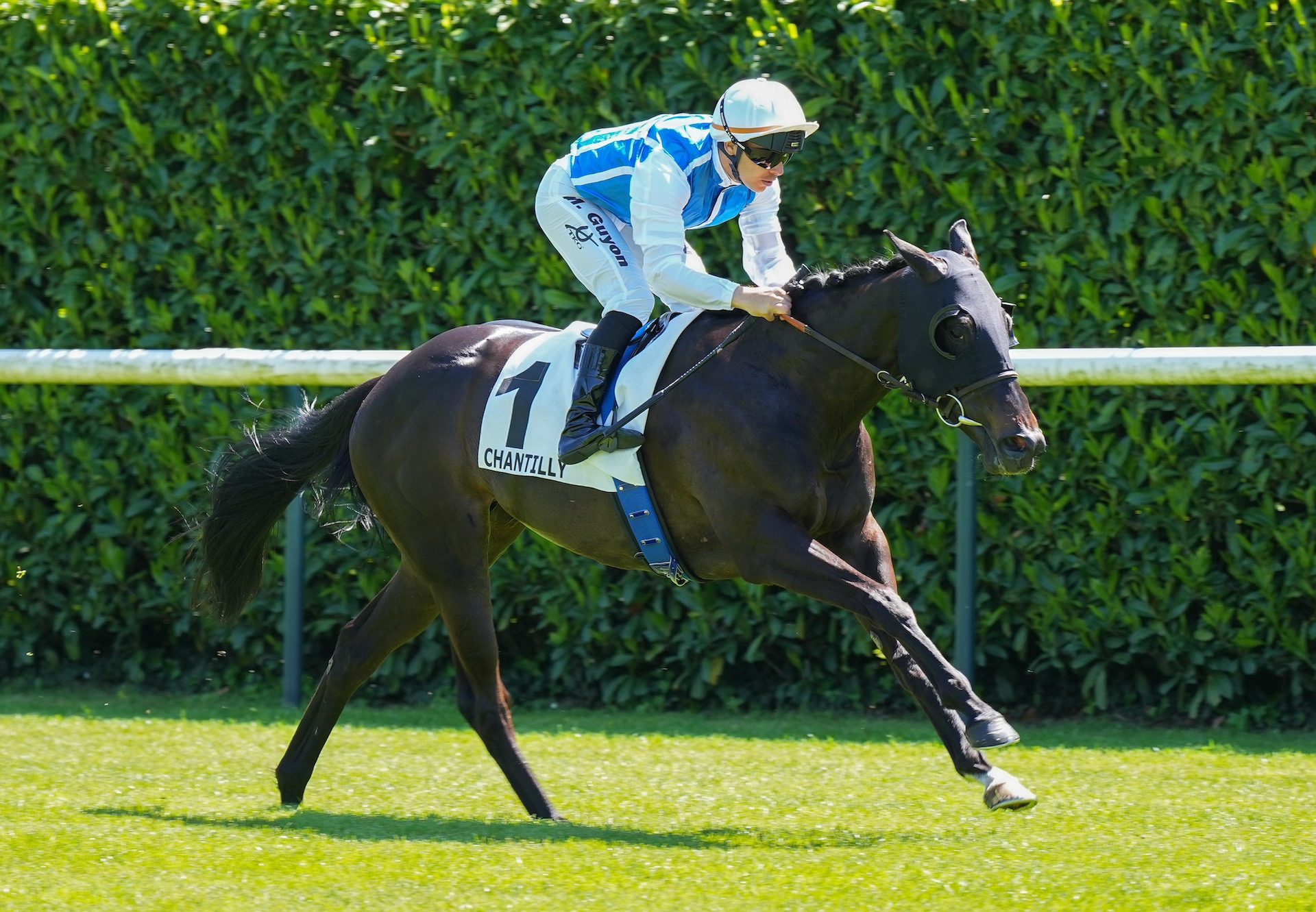 No Tune (no nay never) Wins At Chantilly