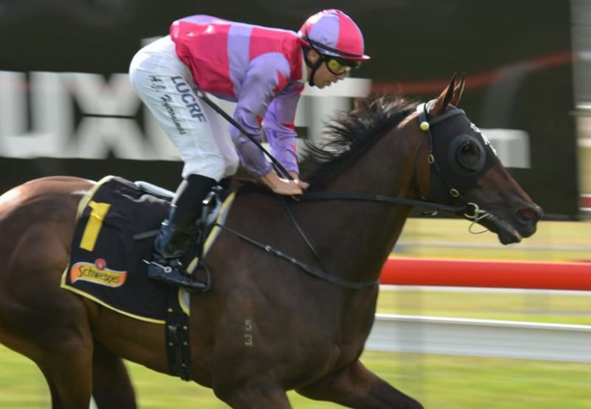 Northwest Passage (So You Think) winning the Listed MVRC Torney Night Cup at Moonee Valley