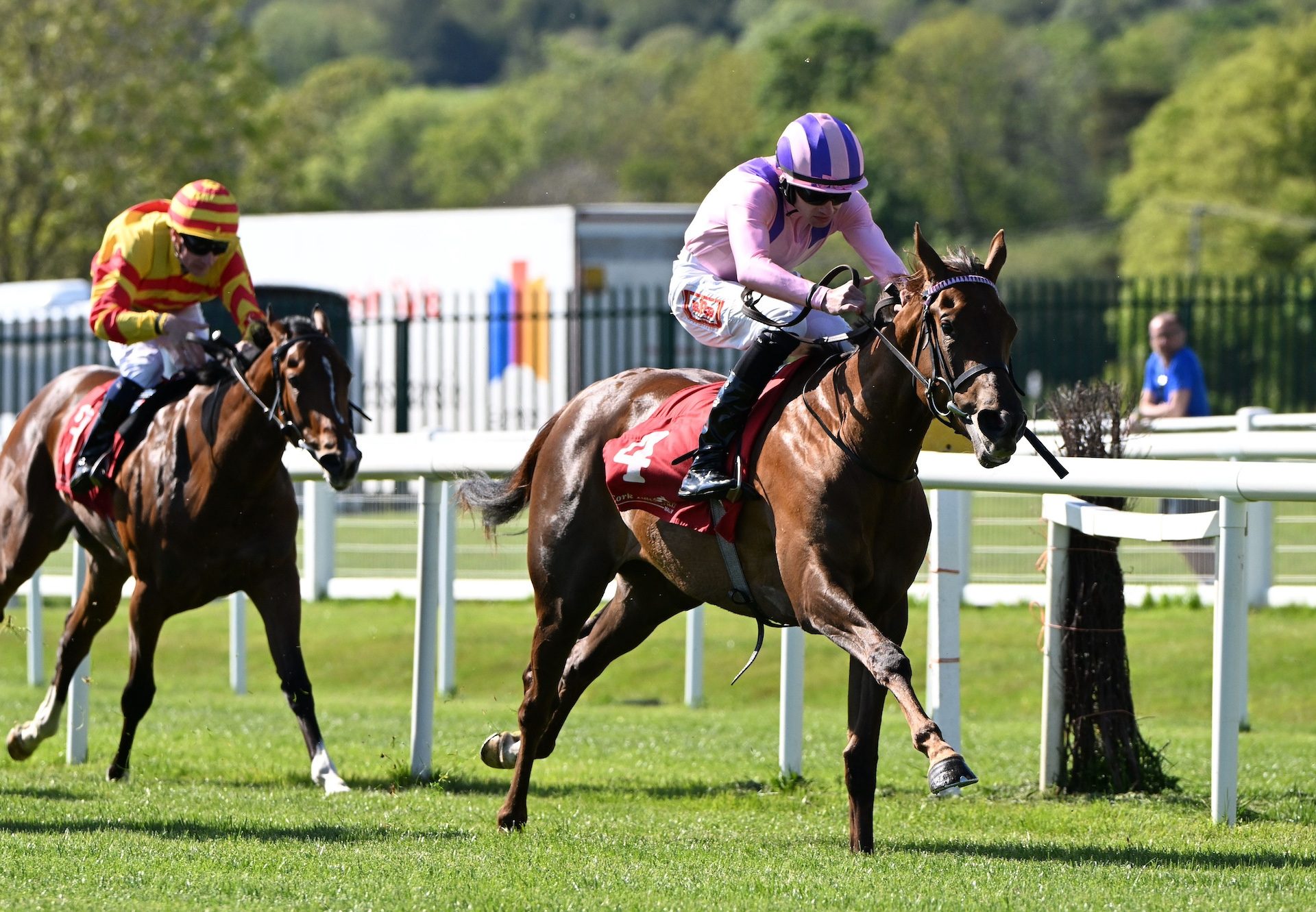 Oh Cecelia (Starspangledbanner) Wins Her Maiden At Cork