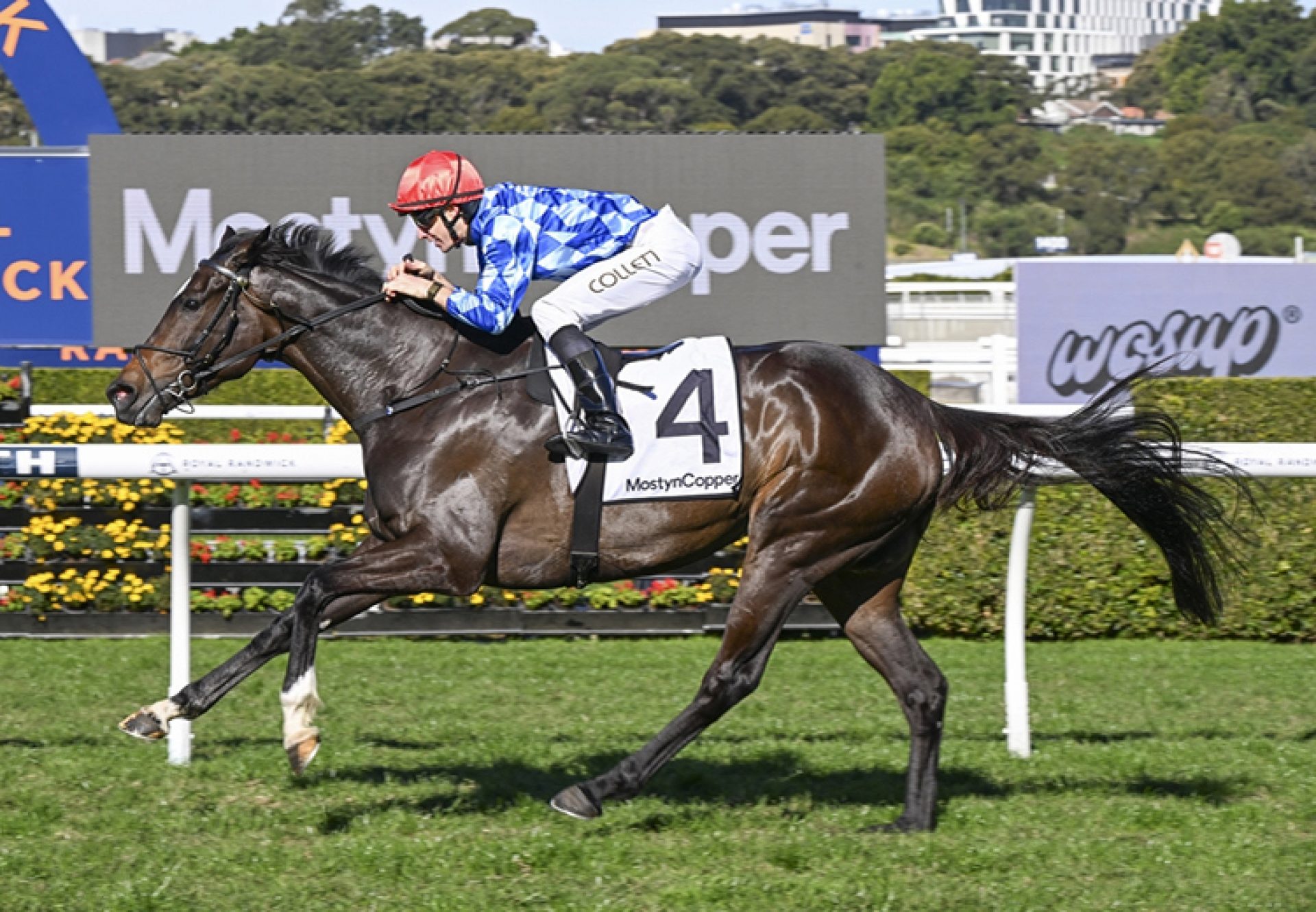 Oh Diamond Lil (so you think) 260725 750