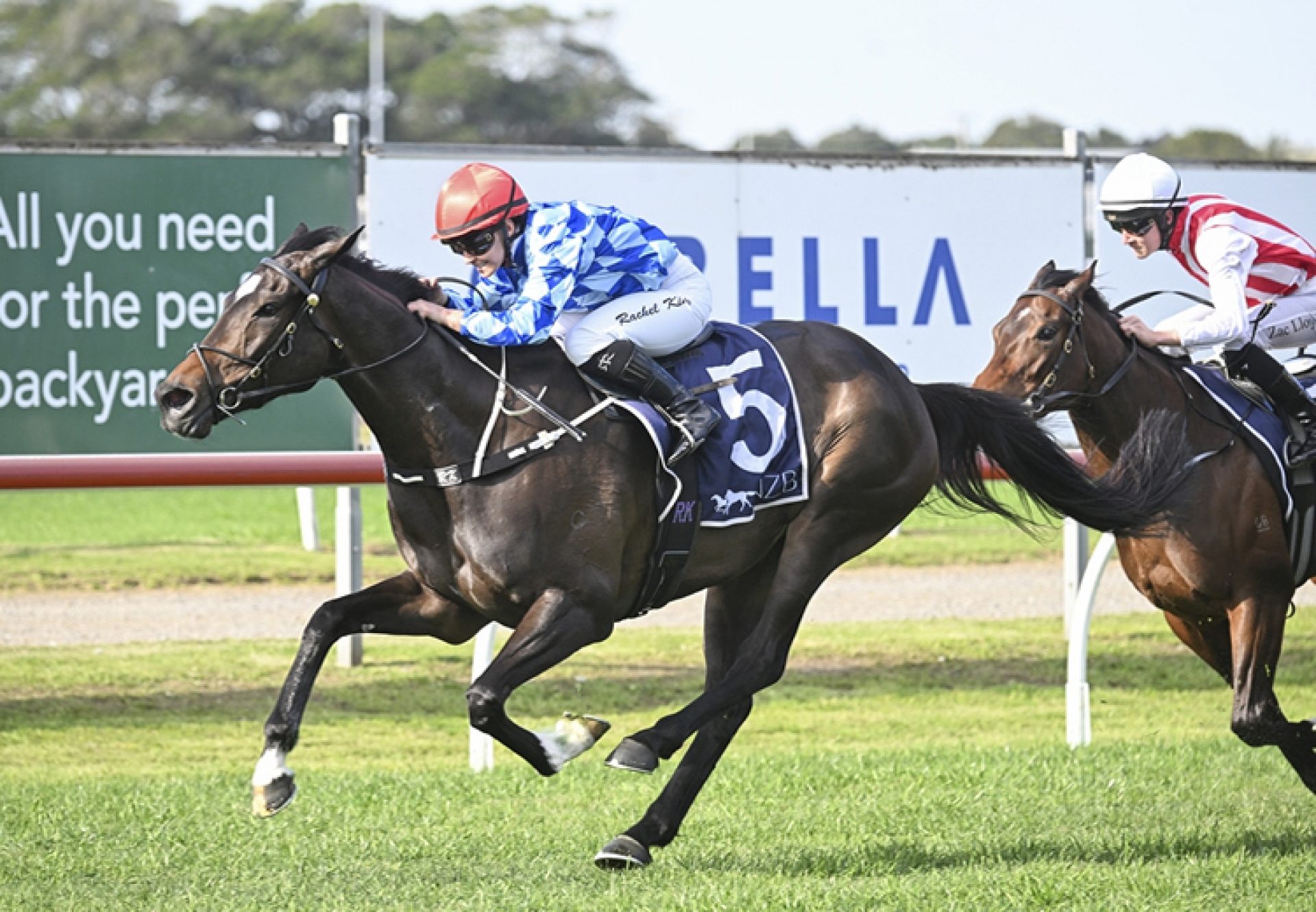 Oh Diamond Lil so you think Tibbie Close 750